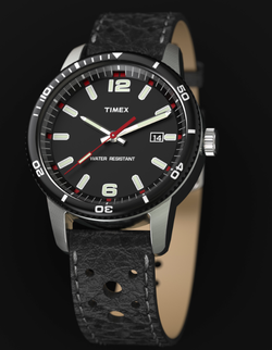 Timex cheap diving watch