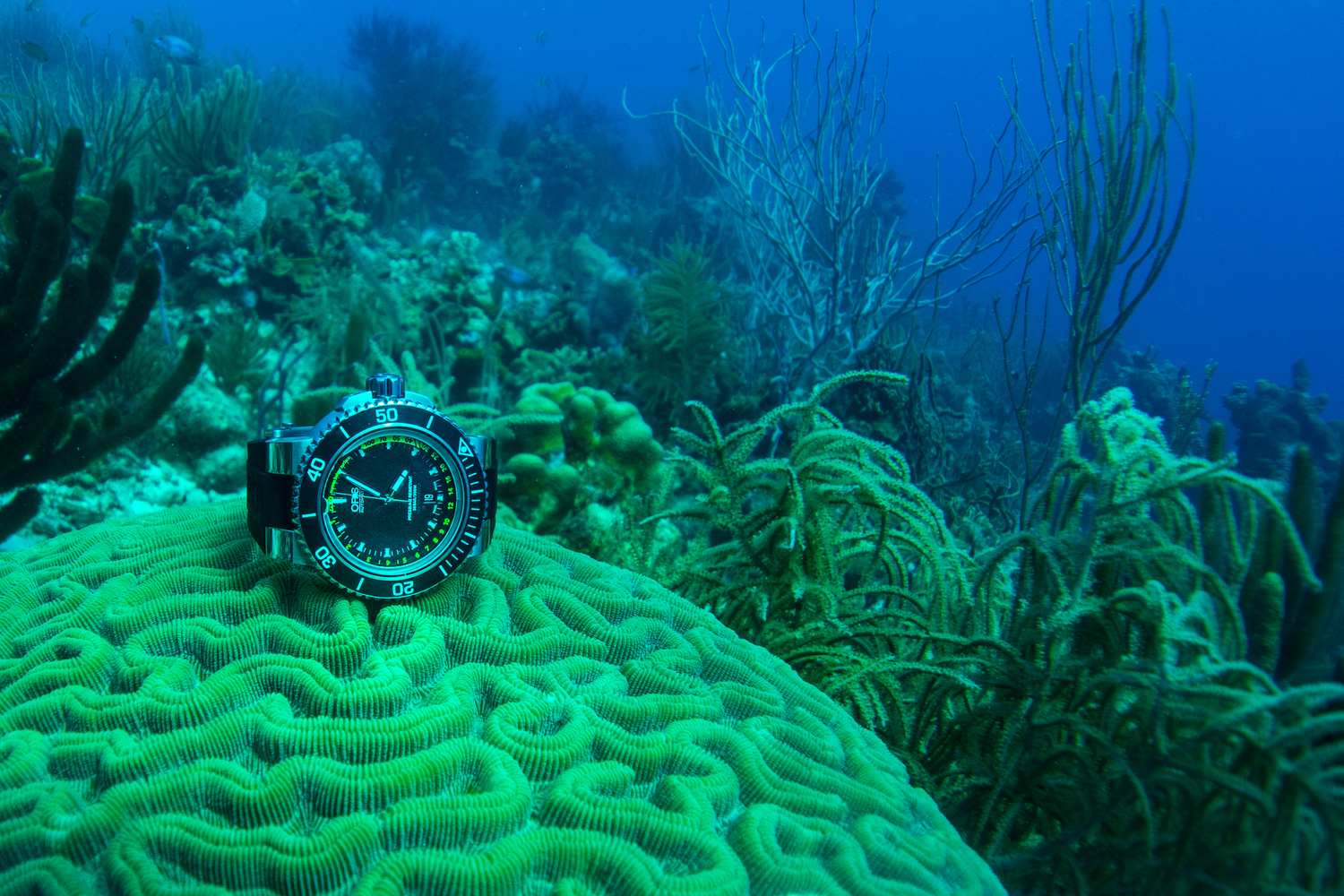 In Depth Physics 101 Dive Testing The ORIS Aquis Depth Gauge In