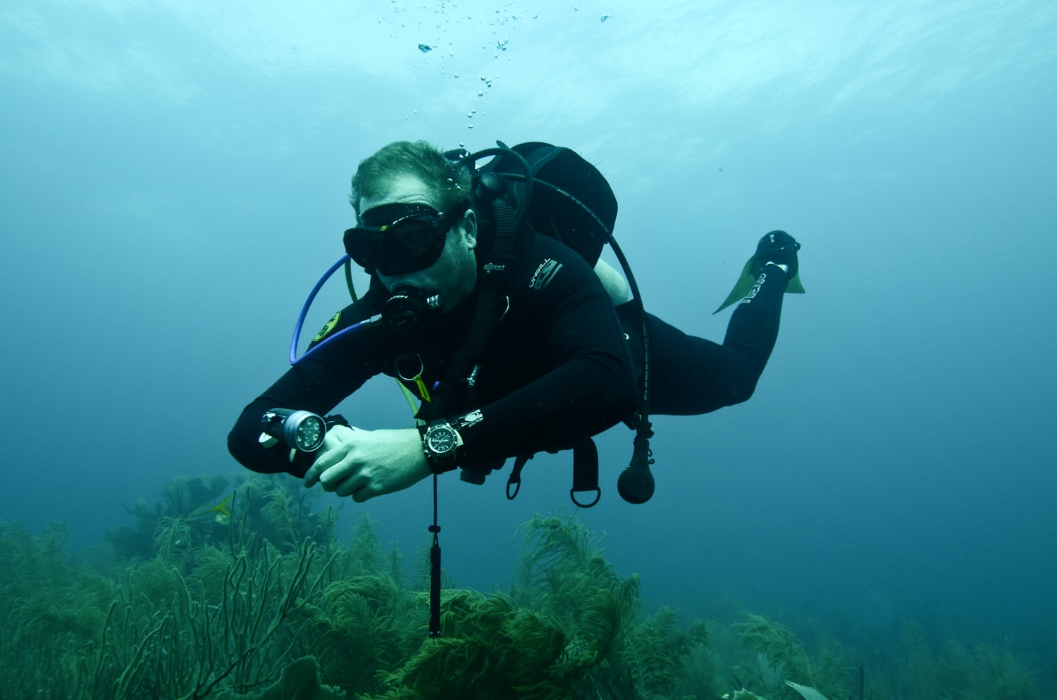 Two Instruments, One Wrist: Depth Gauge Dive Watches - Hodinkee