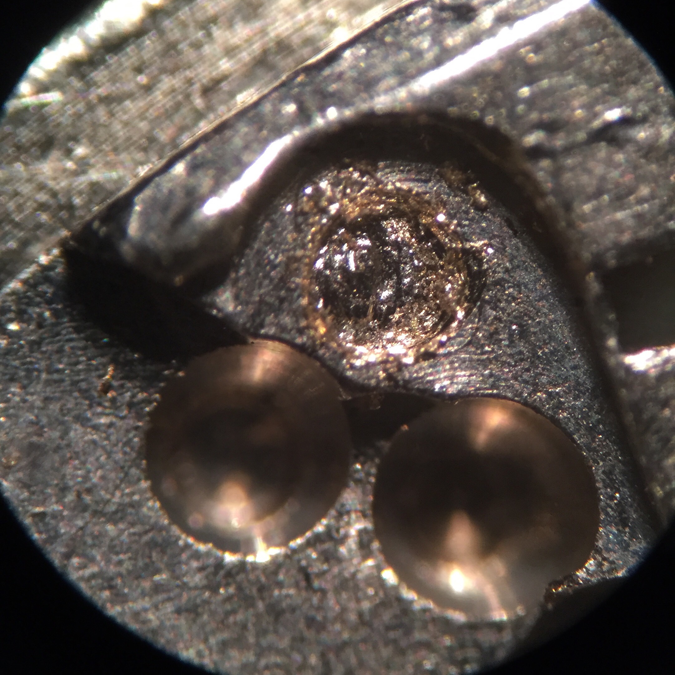 At The Bench: The Restoration Of A Tudor Advisor (Reference 7926)