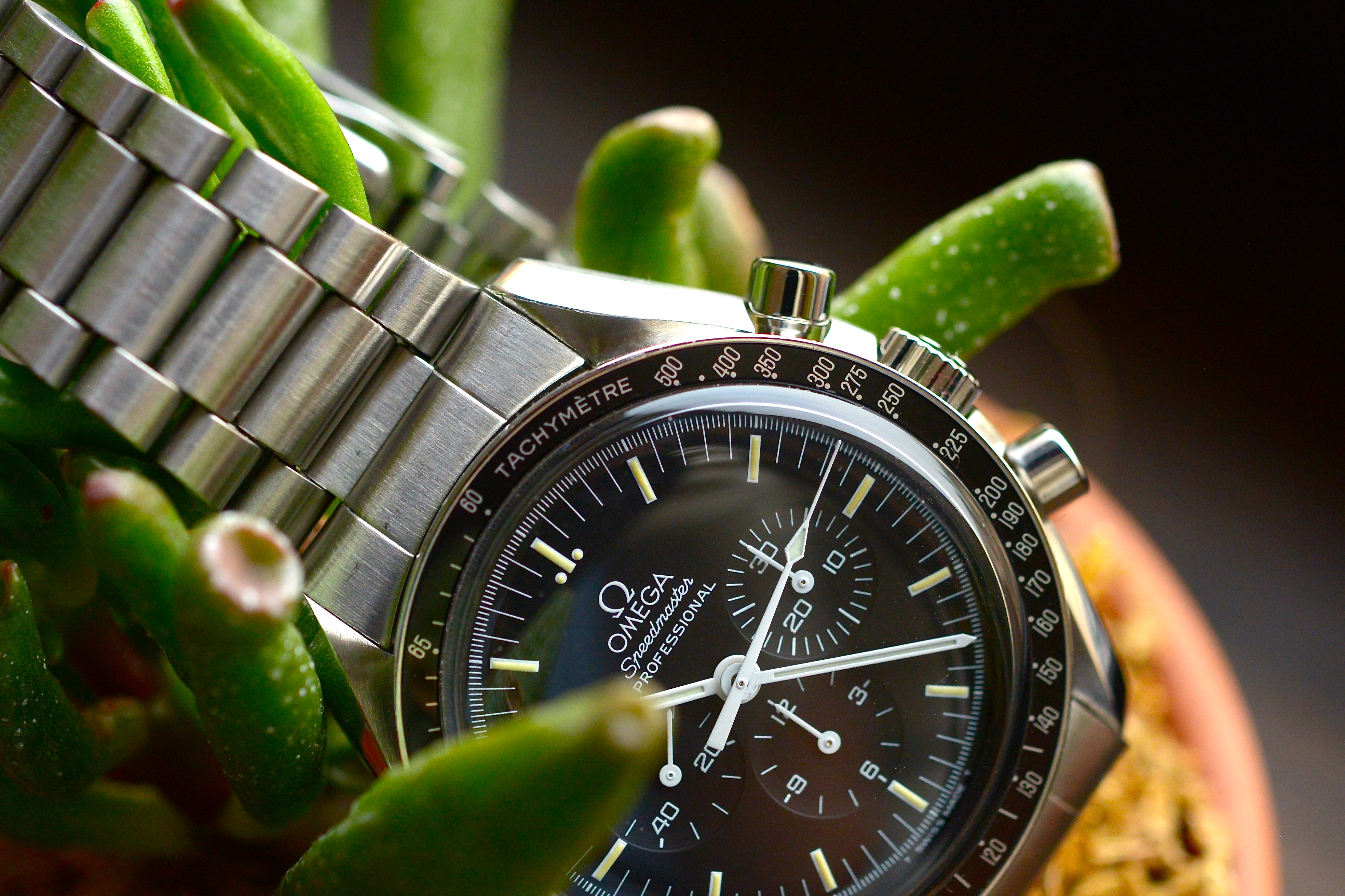 omega watch cleaning cost