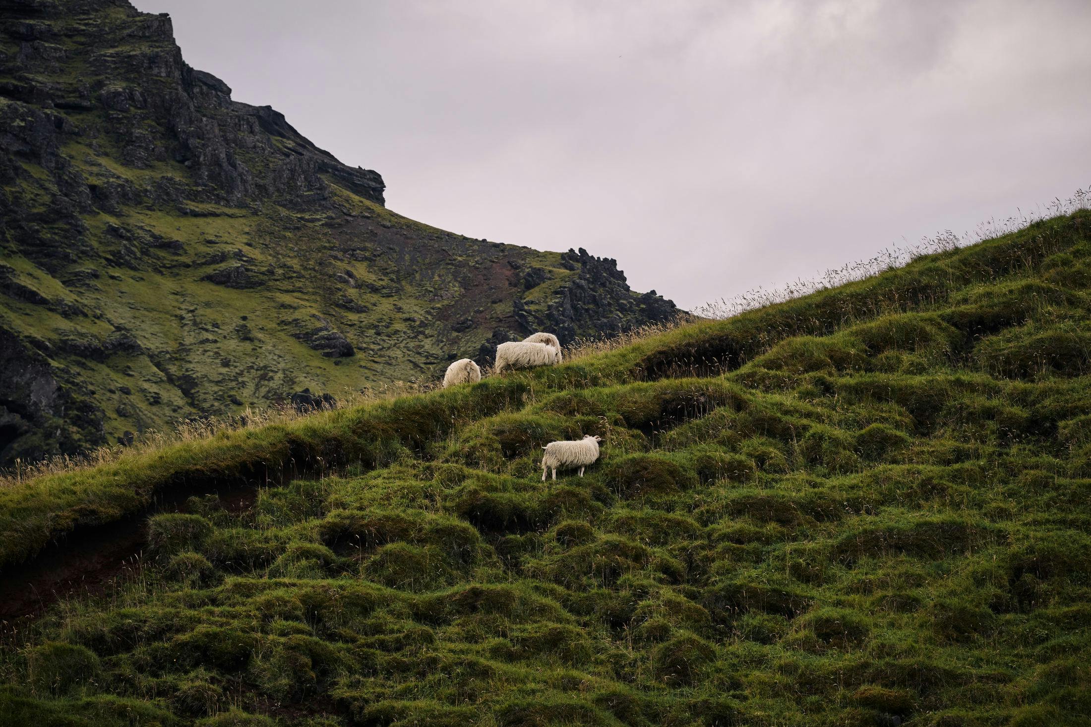 Skógafoss