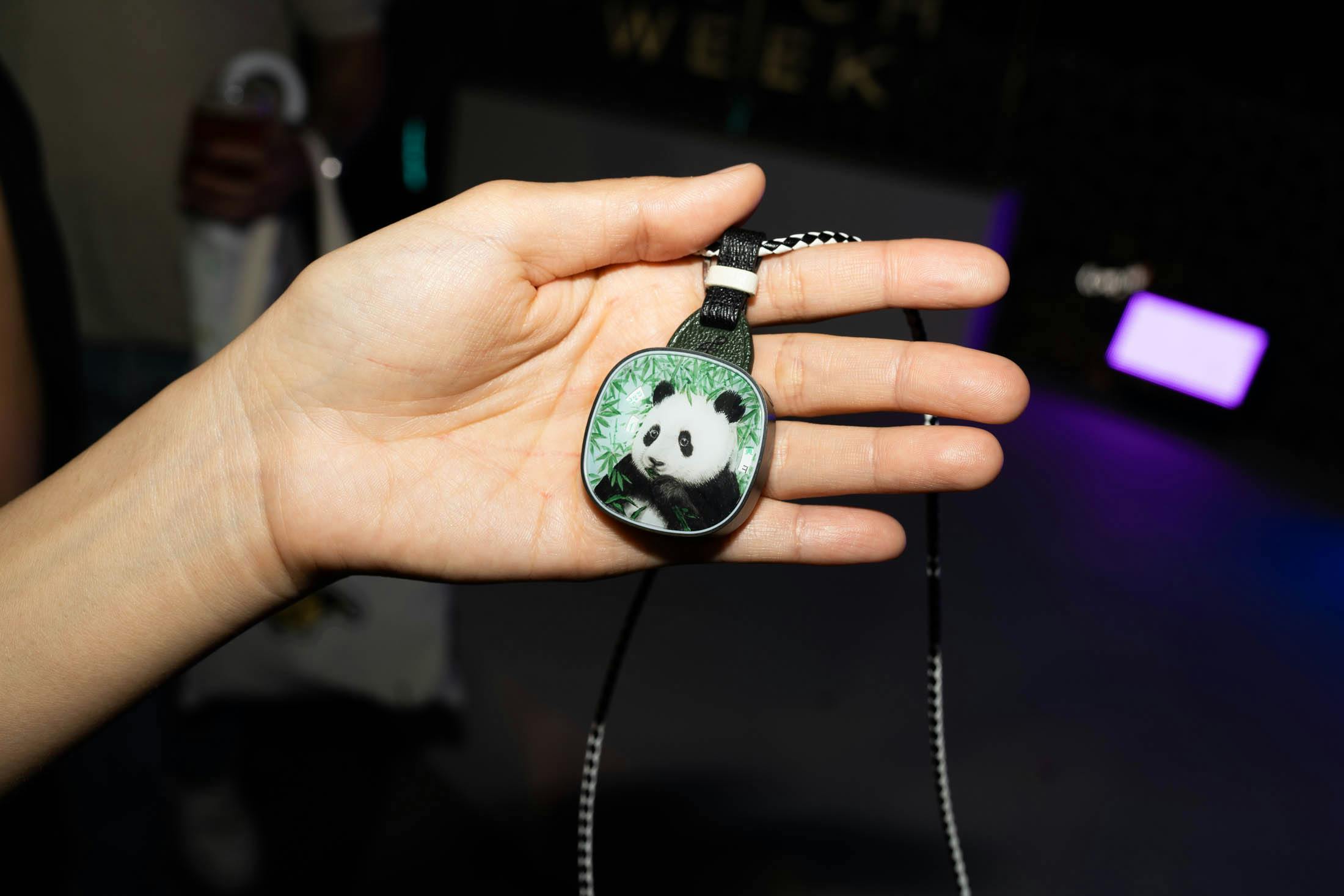Panda Watch