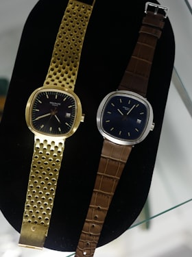 Two Beta 21 Pateks.