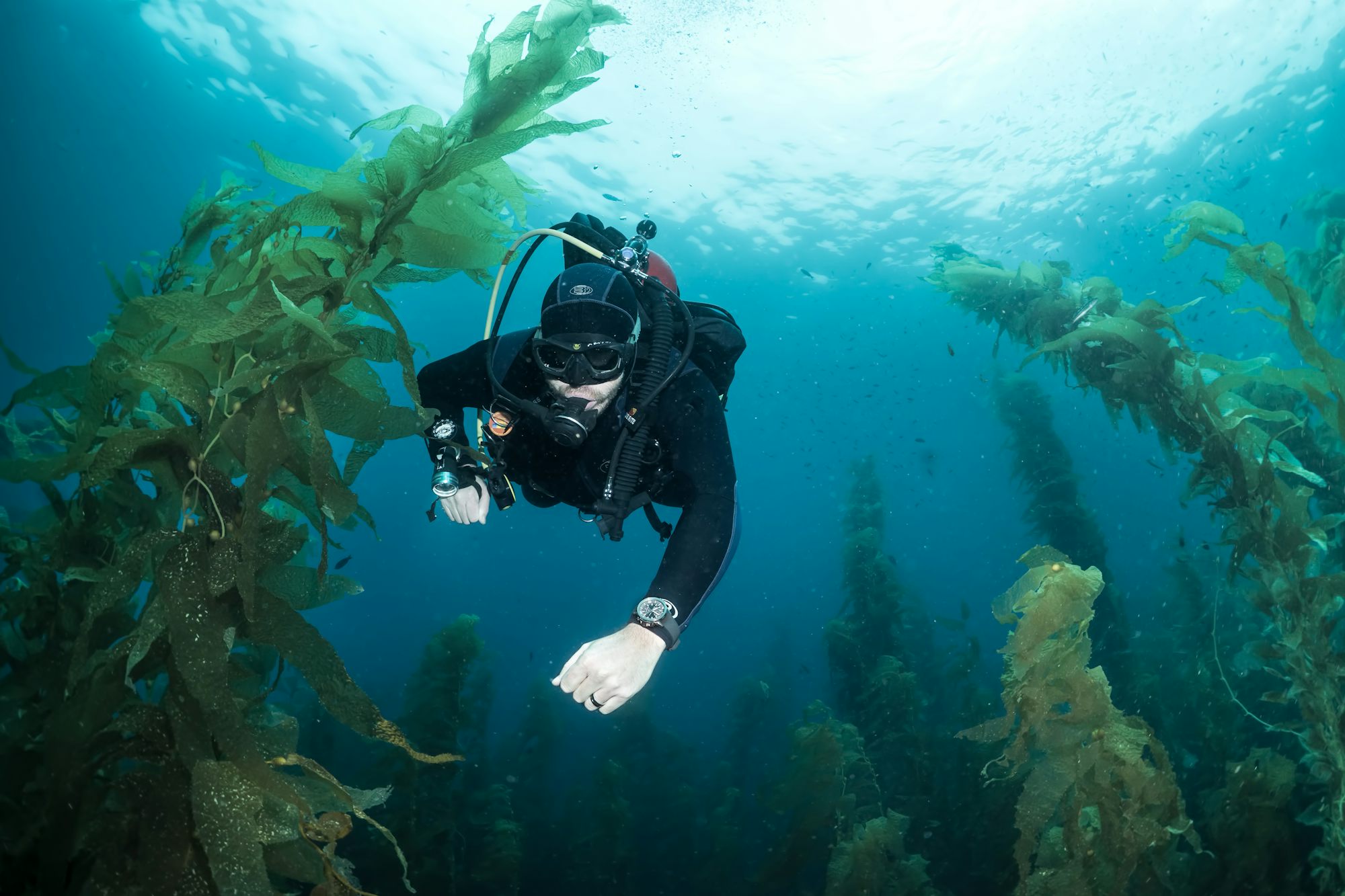 divewatch_general divewatch_general In-Depth: Seven Dive Watch Myths Deep-Sixed divewatch general