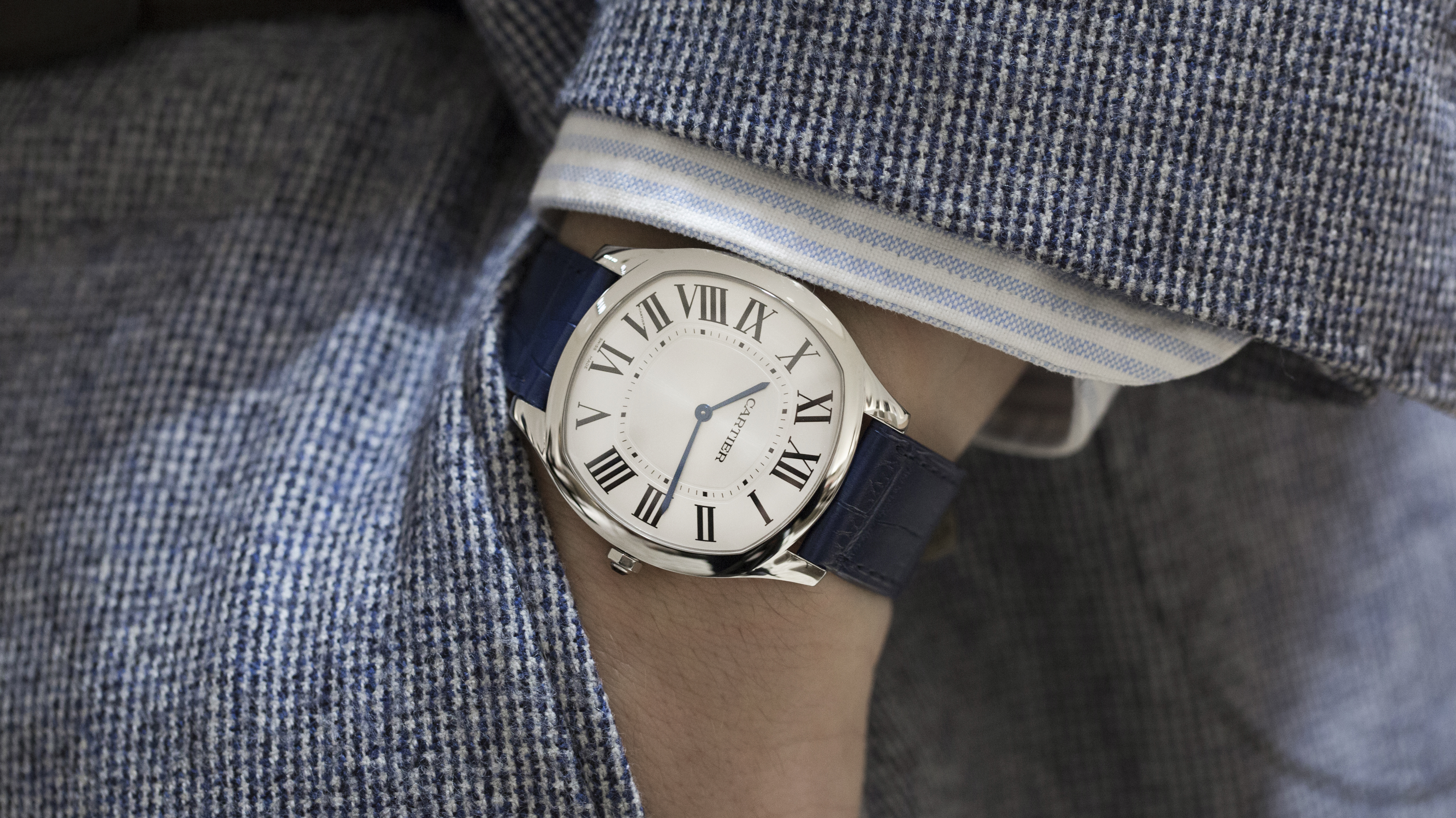 best everyday watch hodinkee