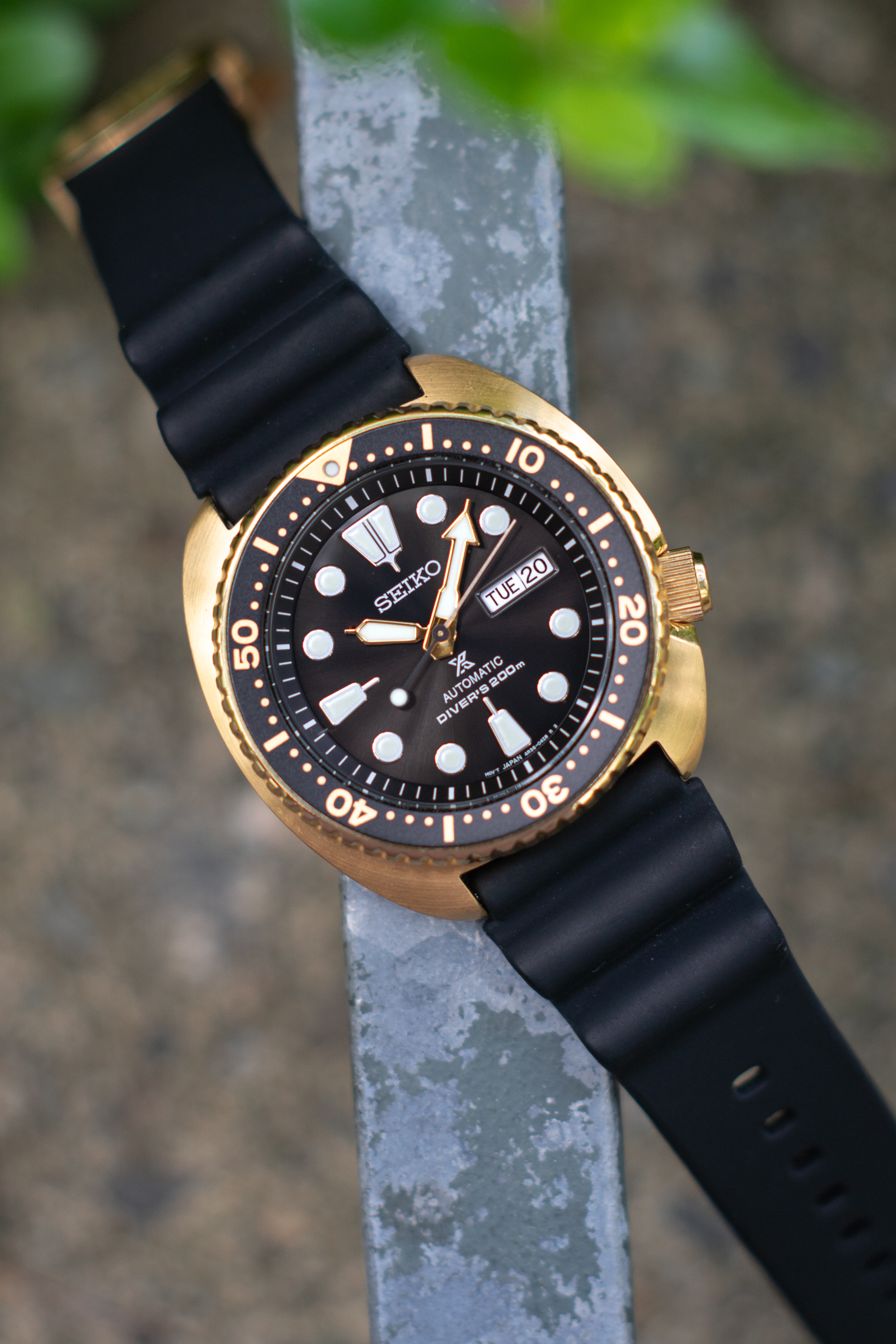  diver gold and black , Off 63%,