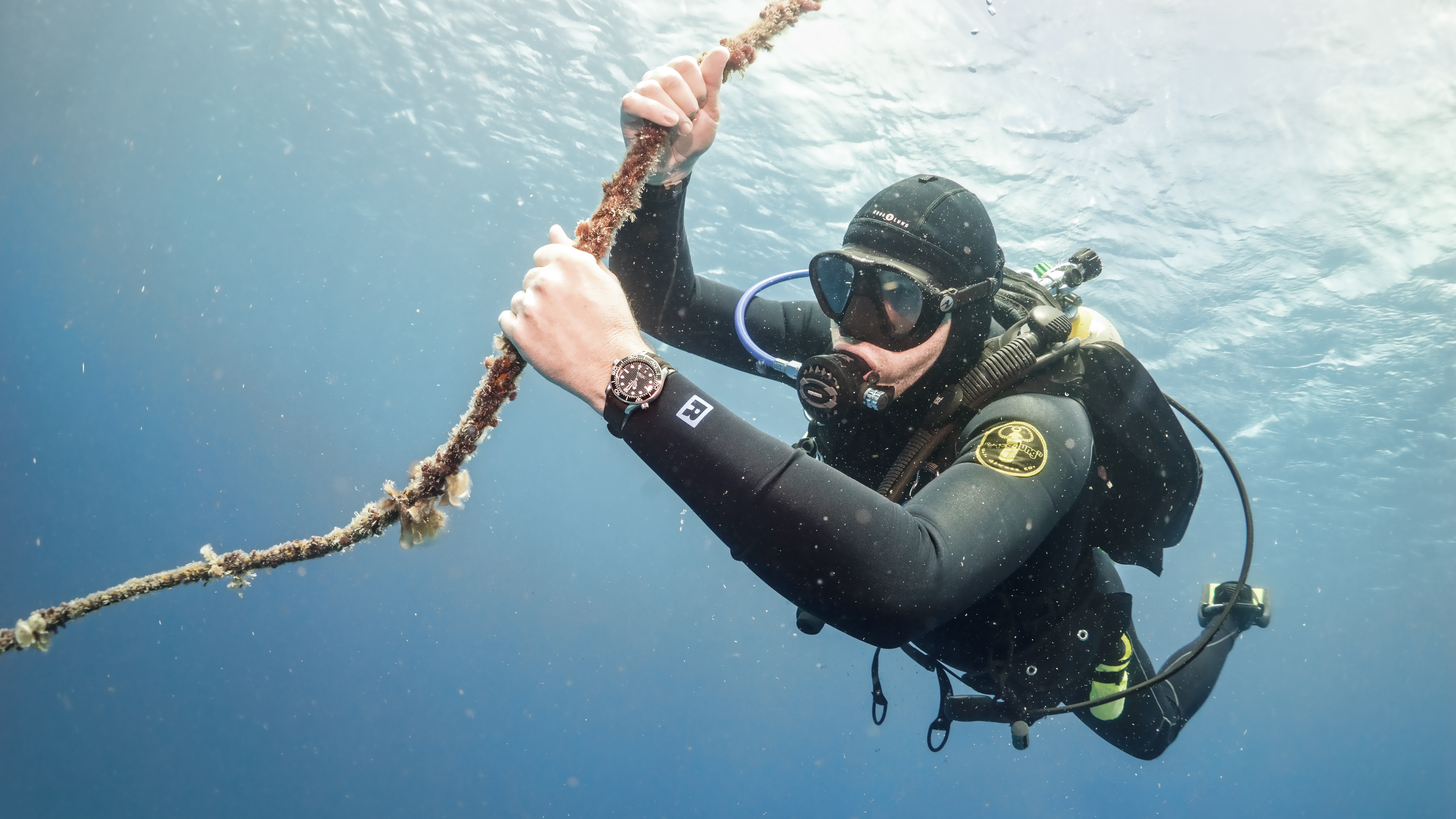 In-Depth: Diving With The Omega Seamaster Professional 300M - Hodinkee