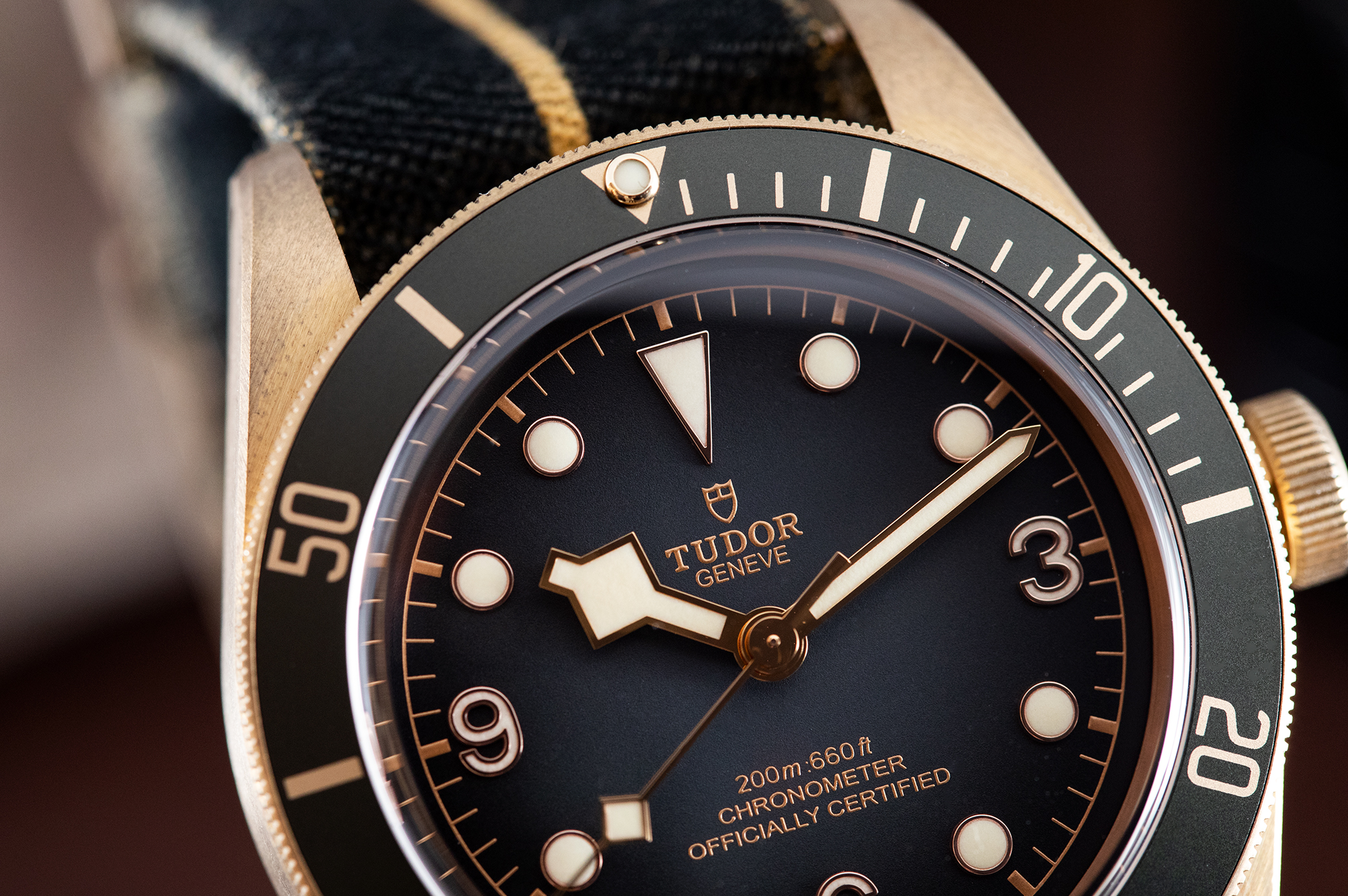 tudor copper watch