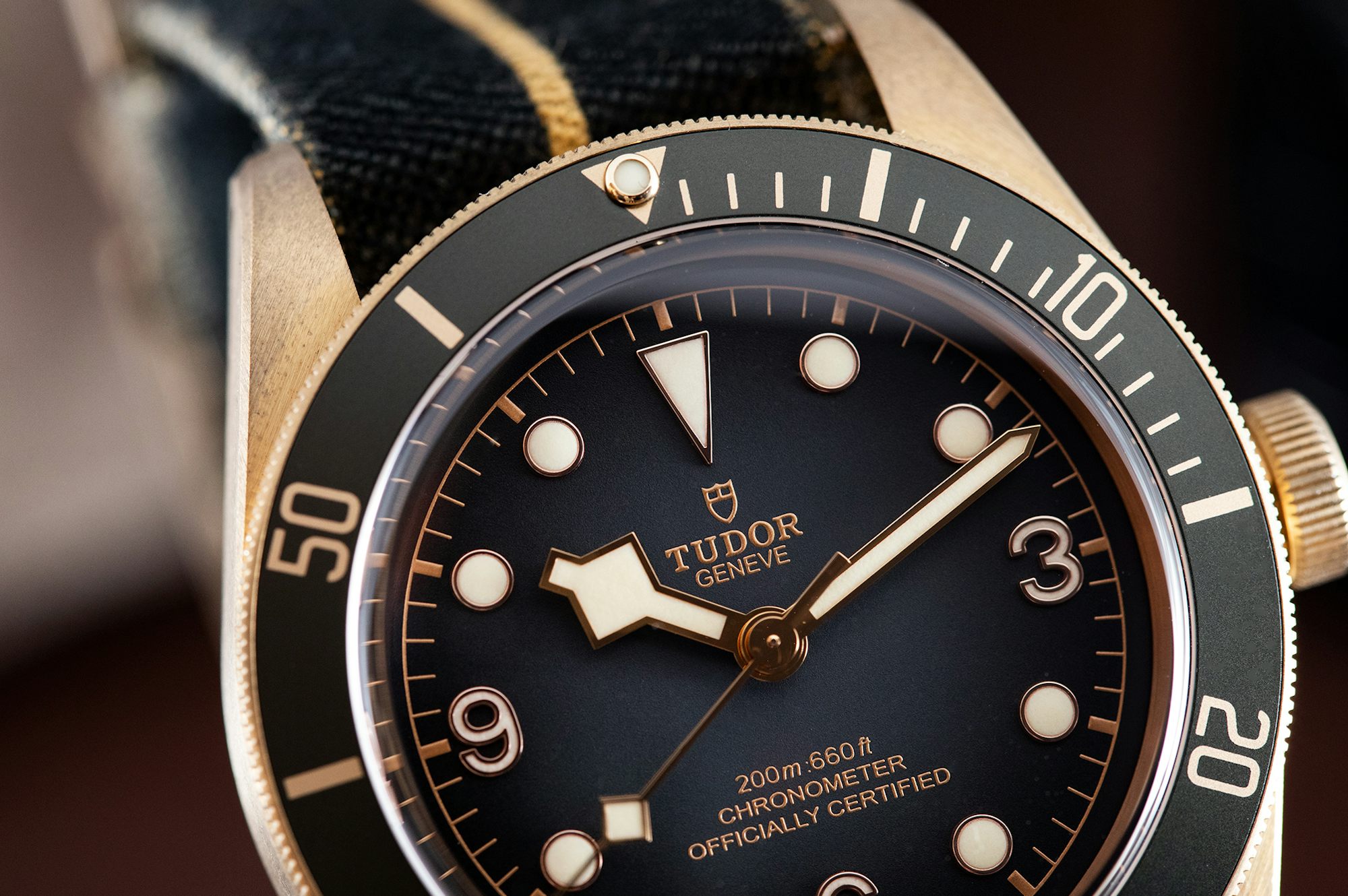 Hodinkee Hands On The Tudor Black Bay Bronze With Slate Grey Dial