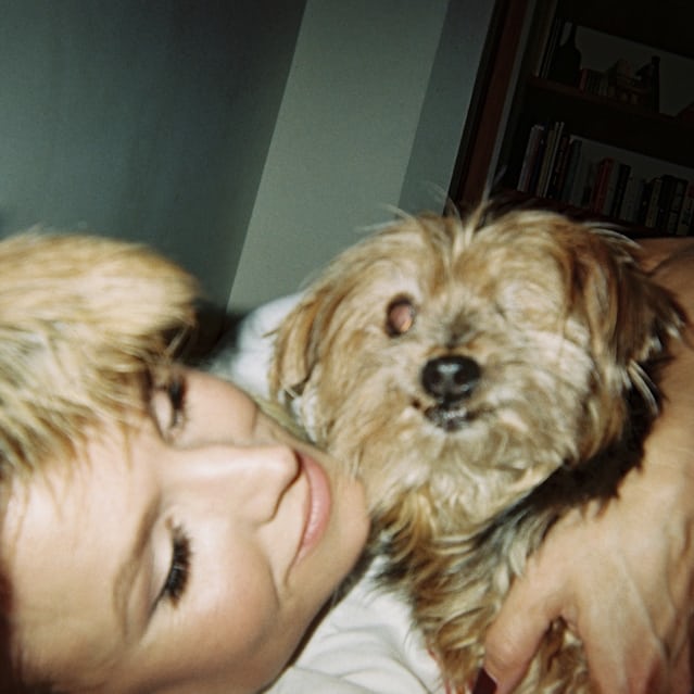 Weekend Round Up Disposable Perspectives Foreign Oscars And The