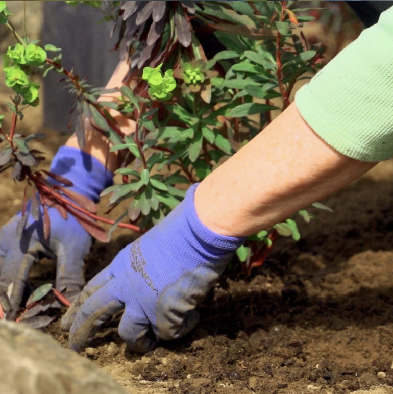 The Daily Uplift Fearless Gardening Hodinkee