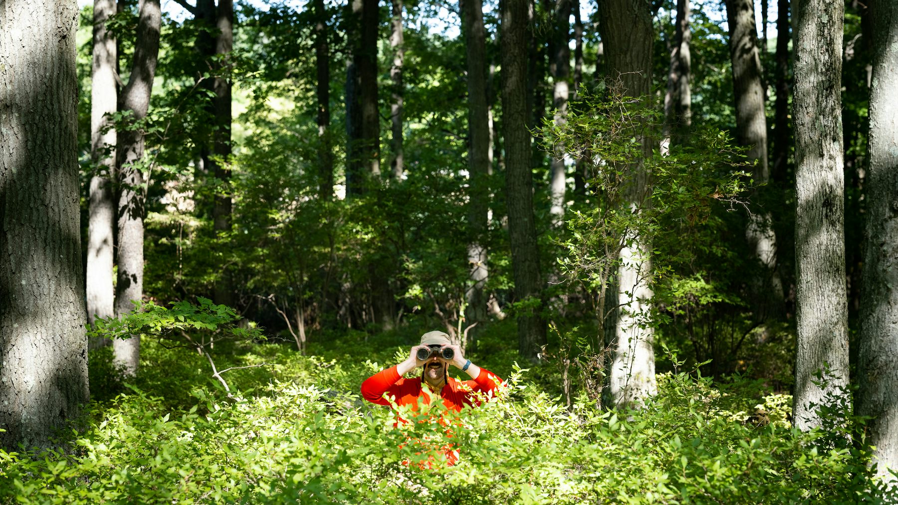 man with binoculars in the forest