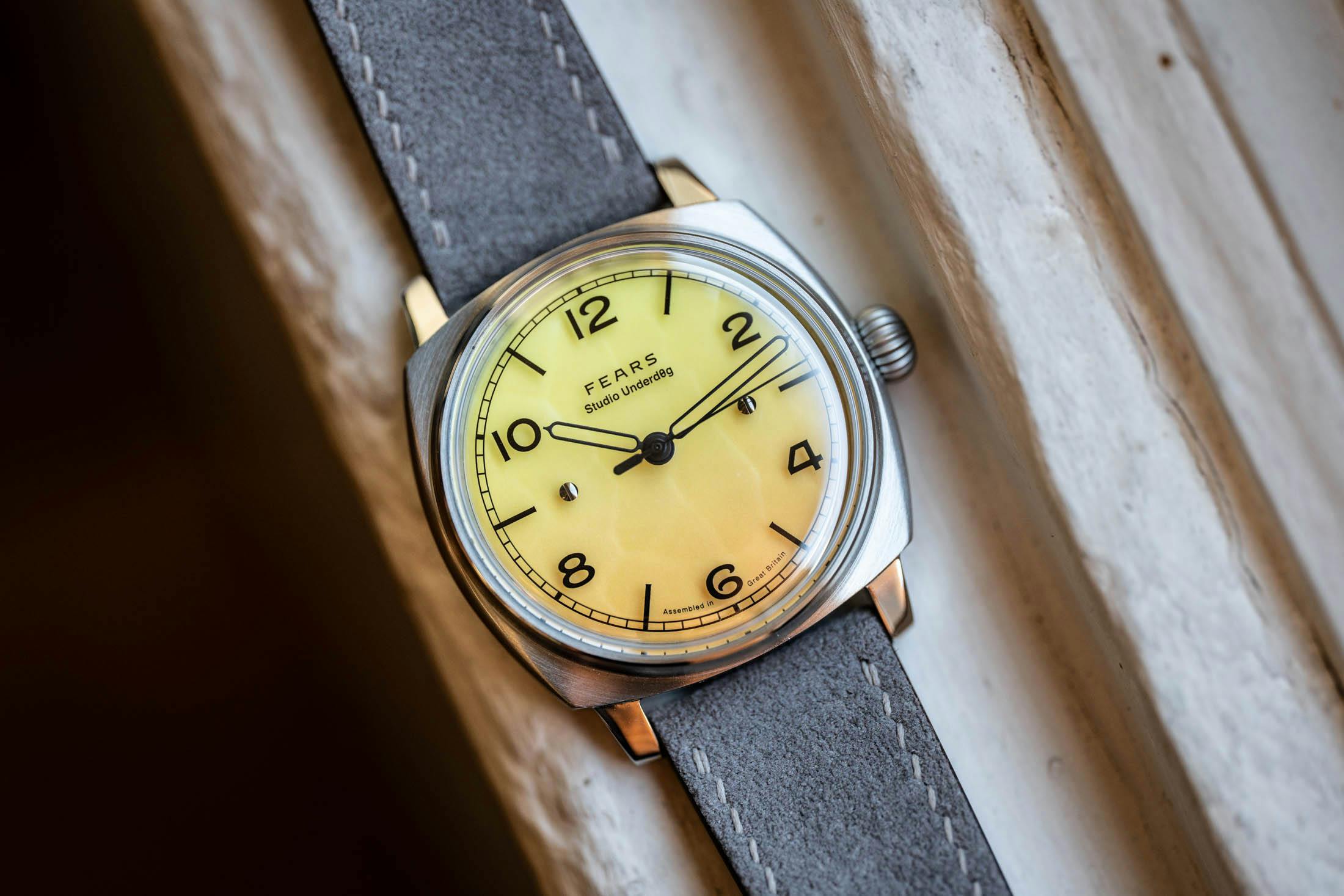 Mim0sa on windowsill