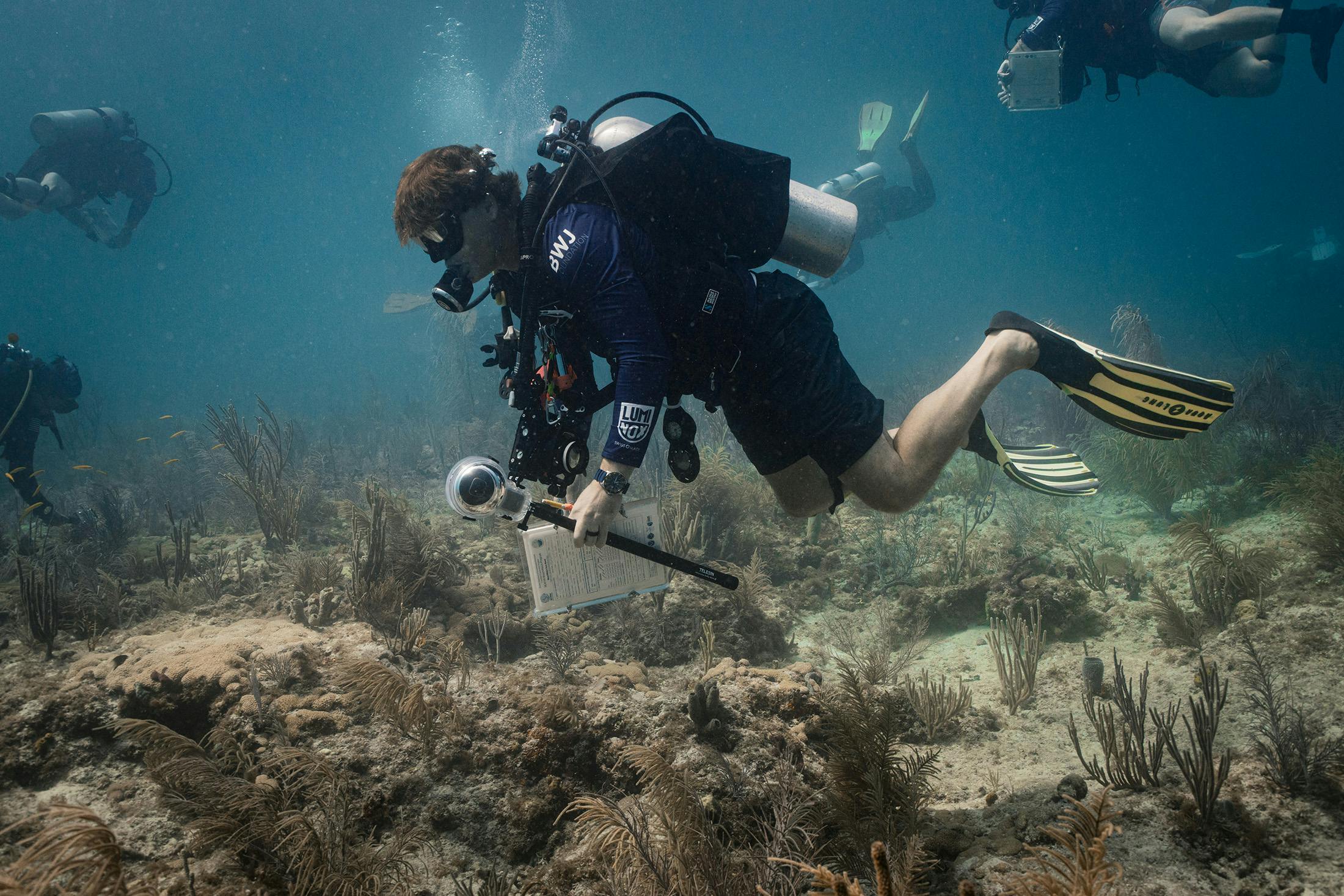 Diving With Force Blue And Luminox For Reef Restoration In Miami