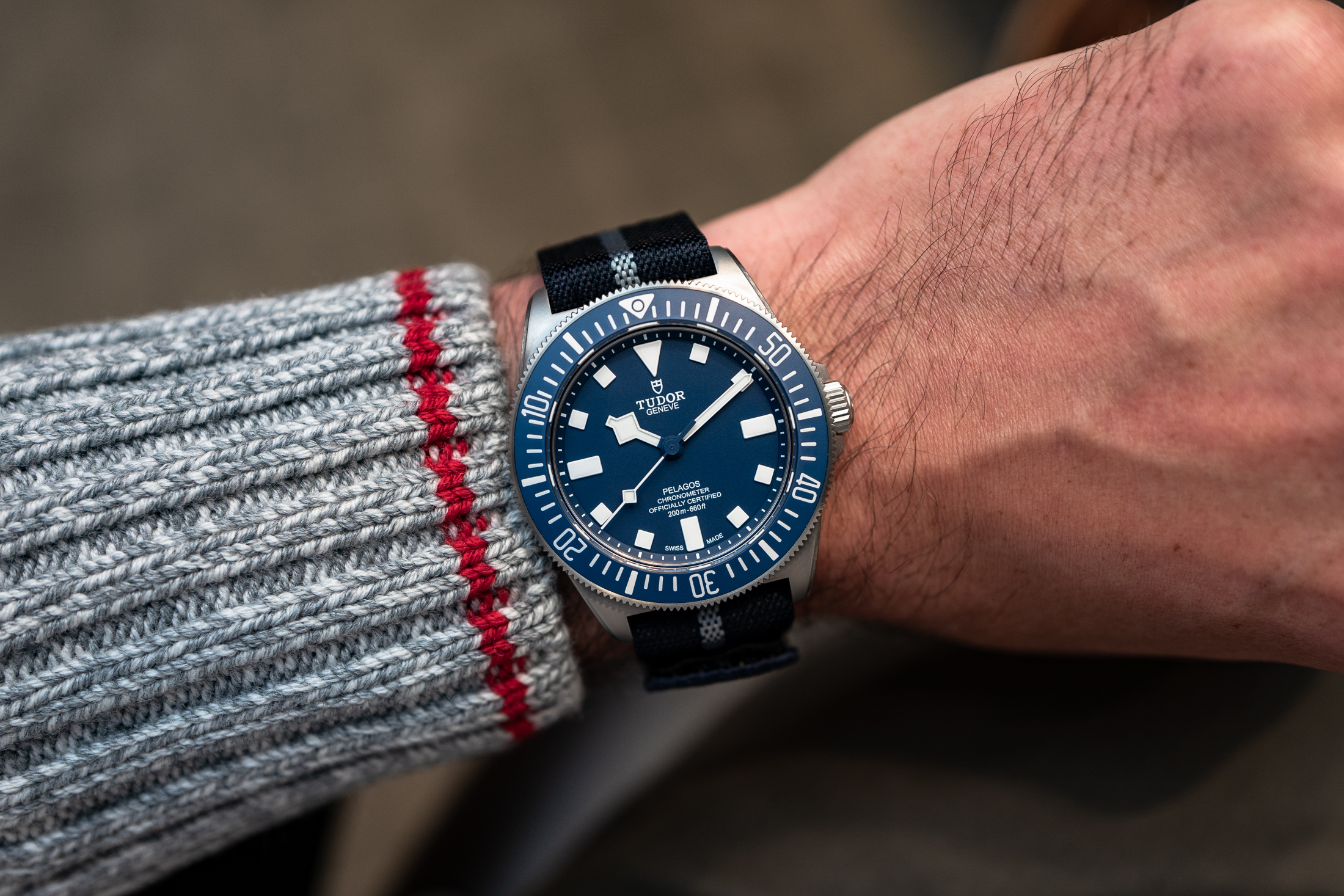 Tudor pelagos blue on clearance wrist