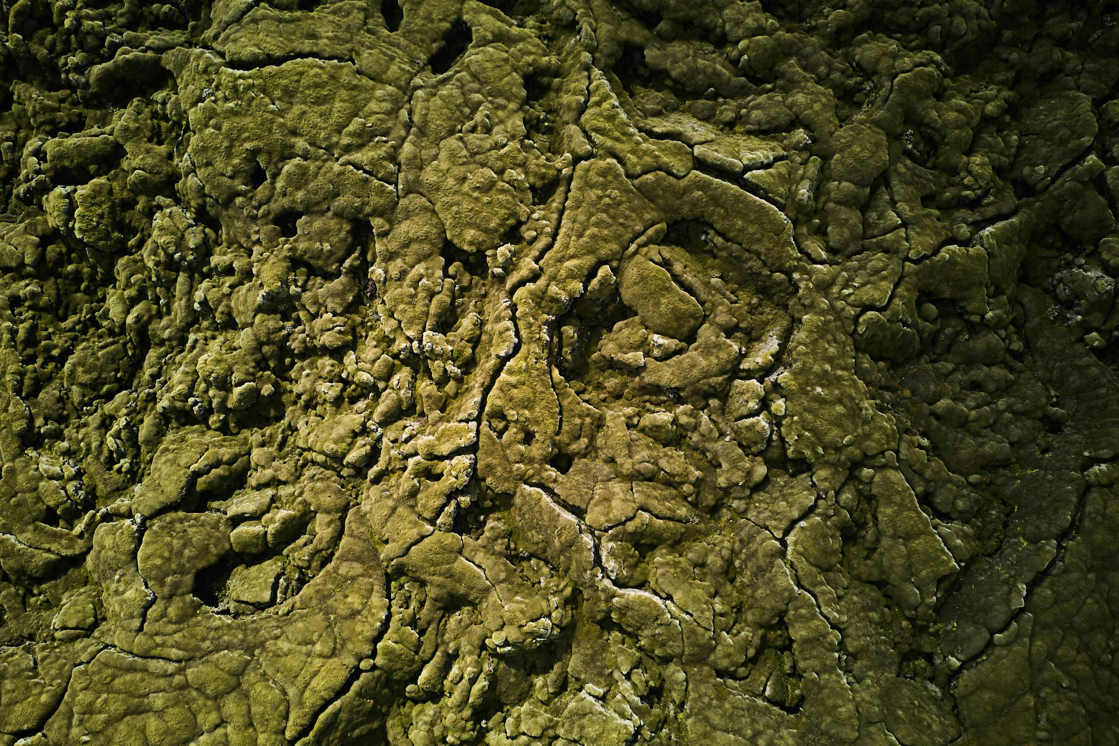 Landscape near Fjaðrárgljúfur