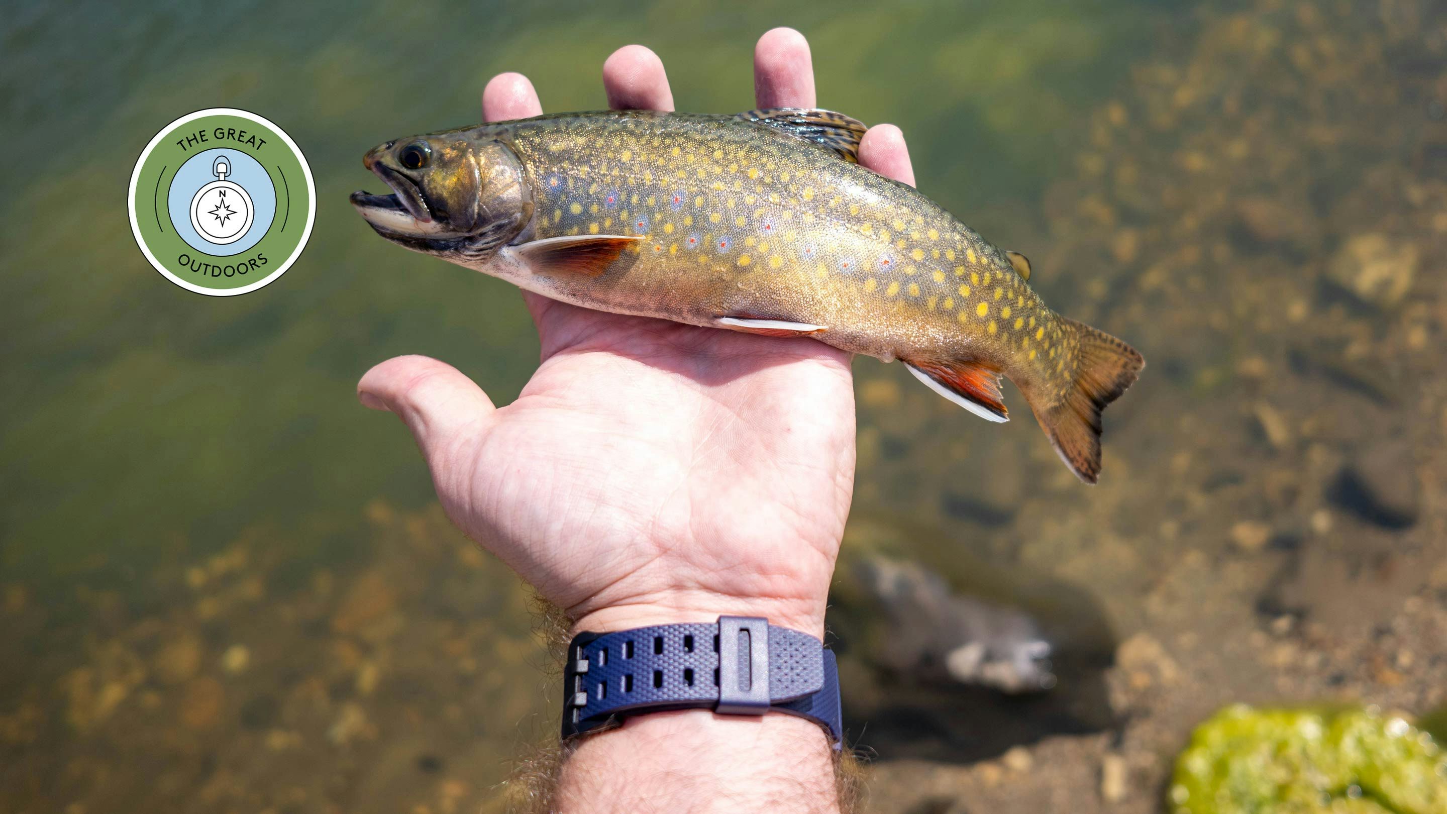 Hands-On I Landed This Trout Using Casio's $26 Fishing Watch