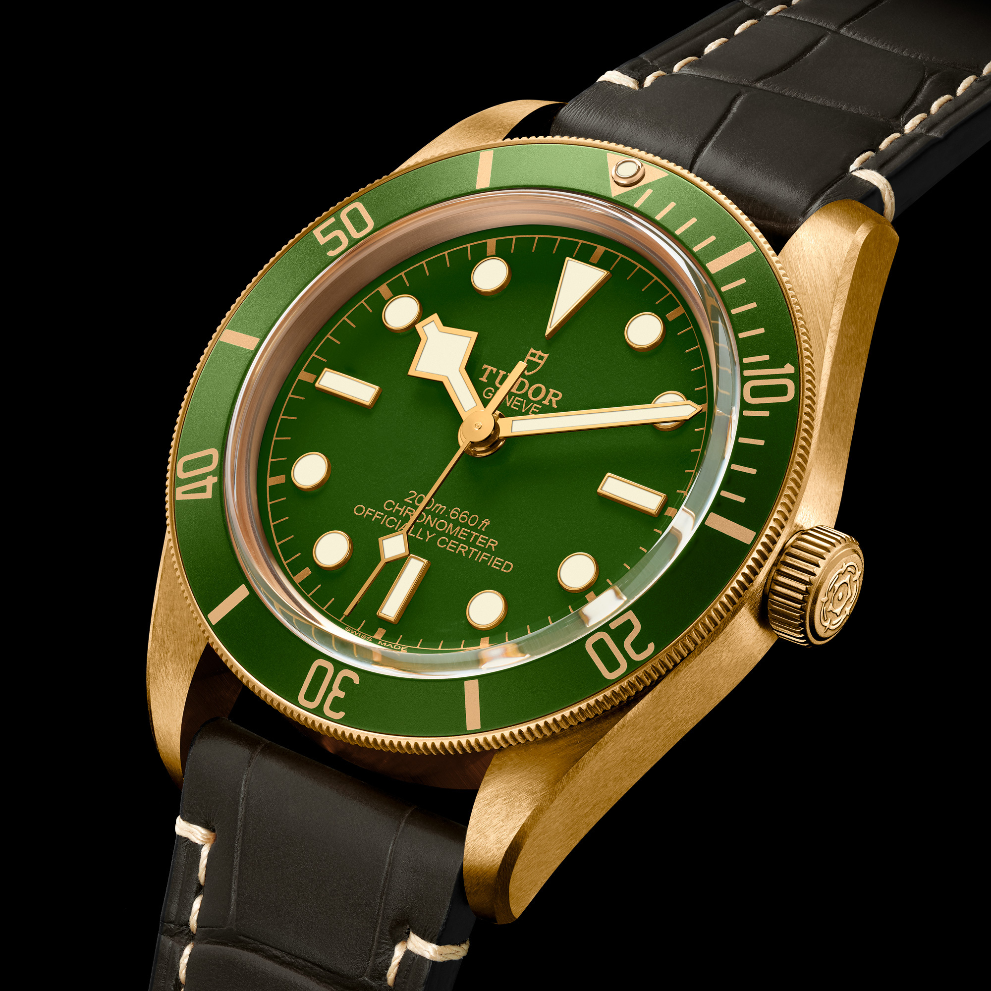 tudor gold black bay