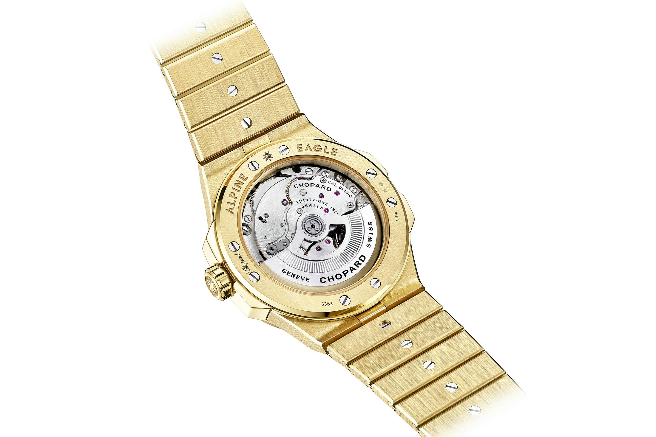 Alpine Eagle Summit caseback 
