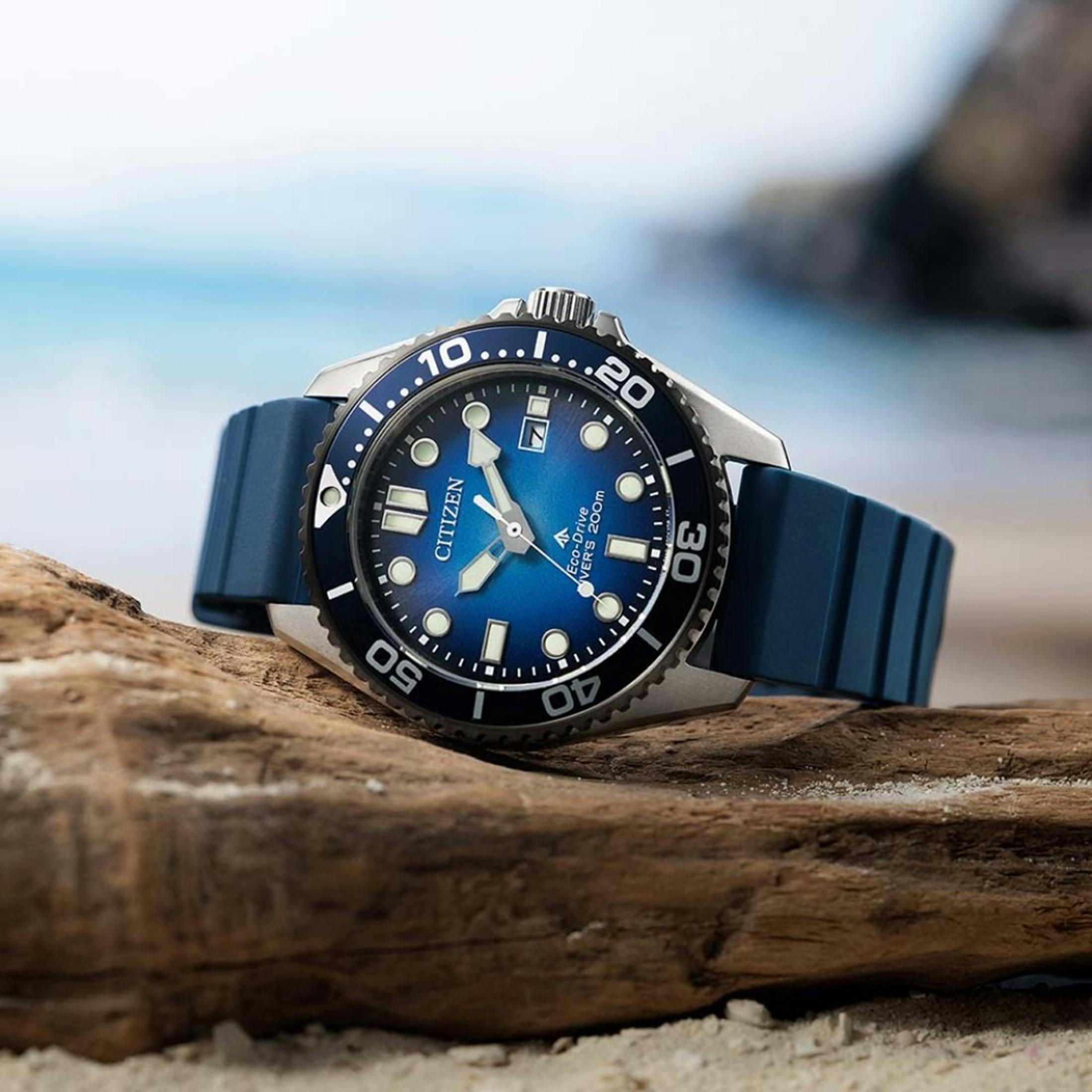 Citizen Promaster
