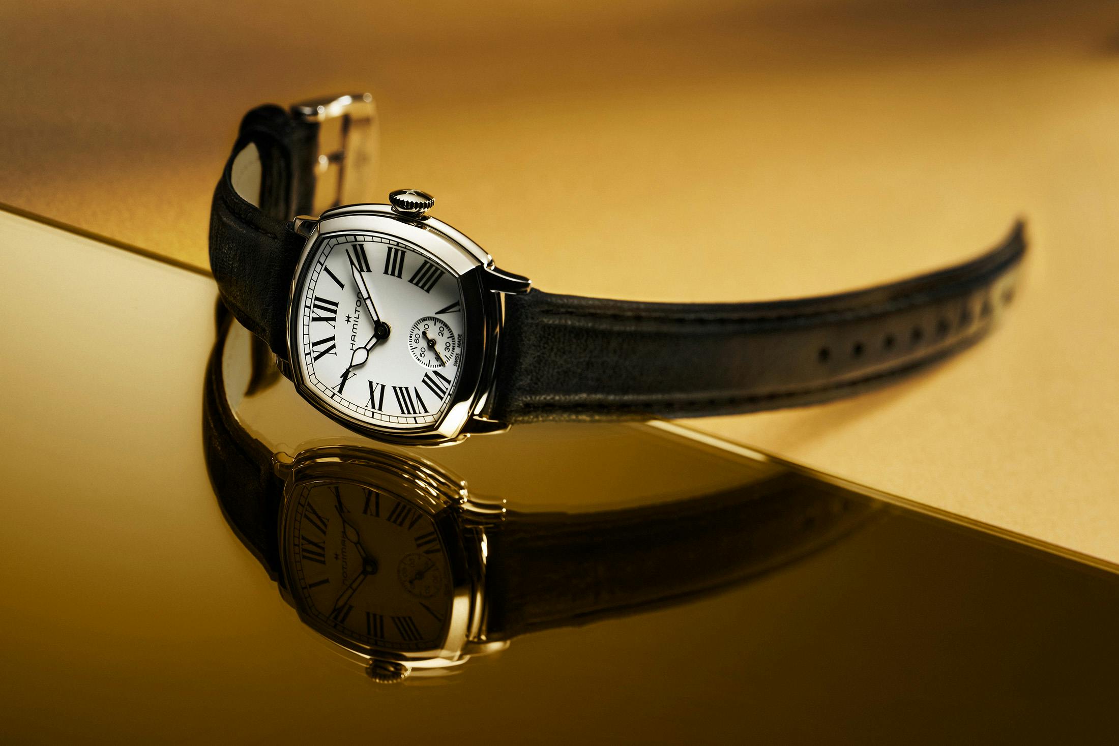Hamilton American Classic Cushion