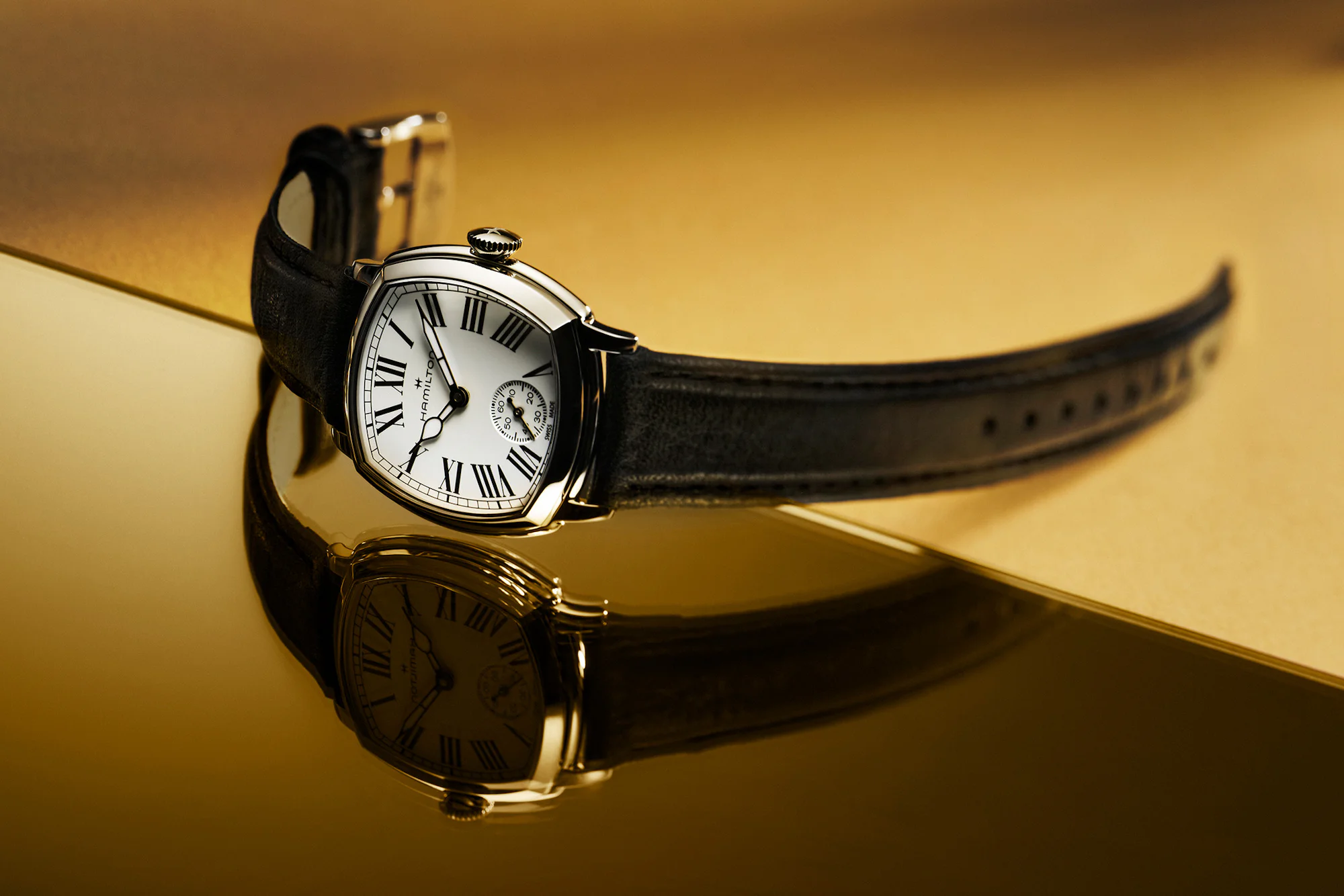Hamilton American Classic Cushion