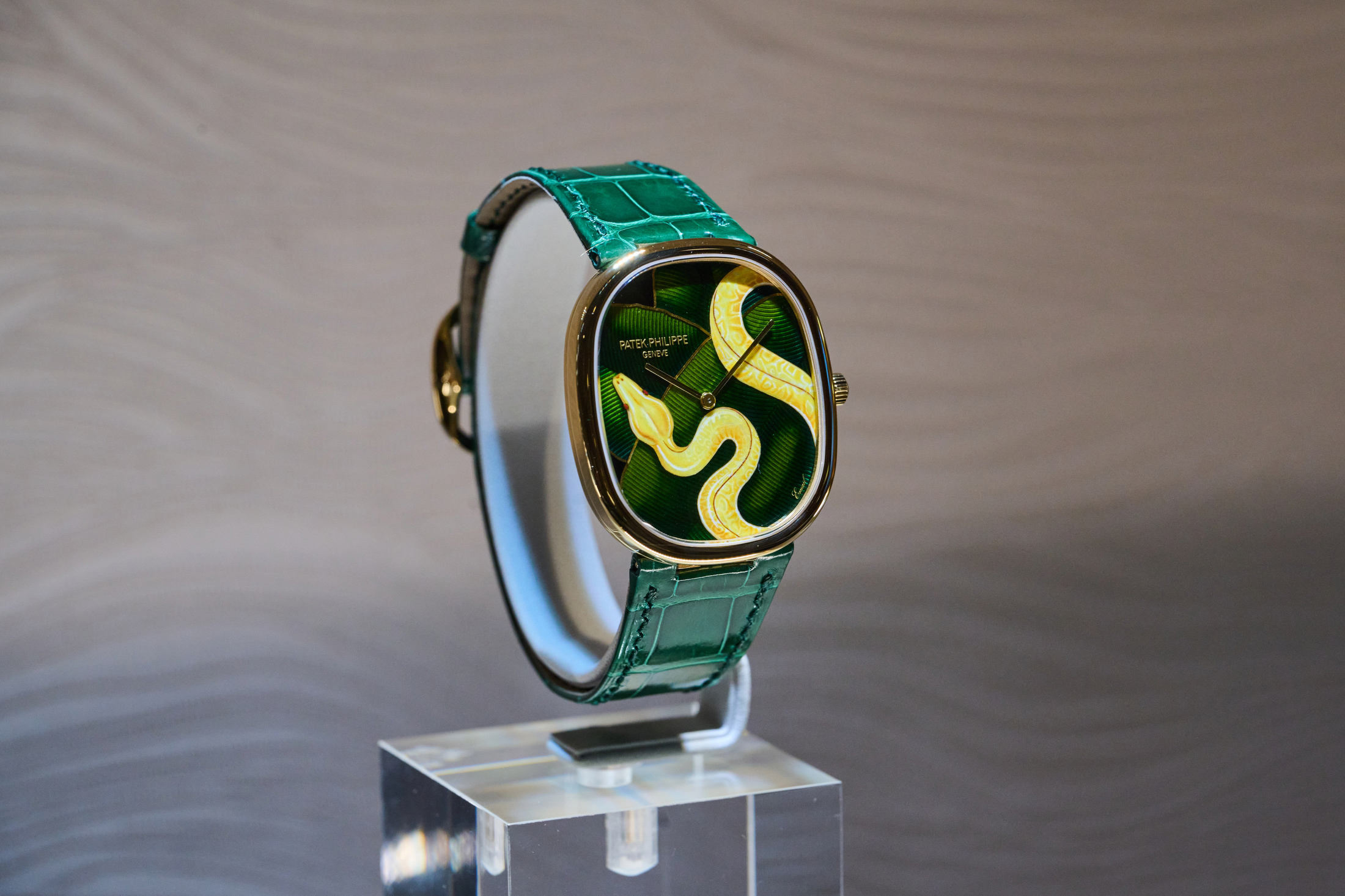 Patek Philippe Rare Handcrafts