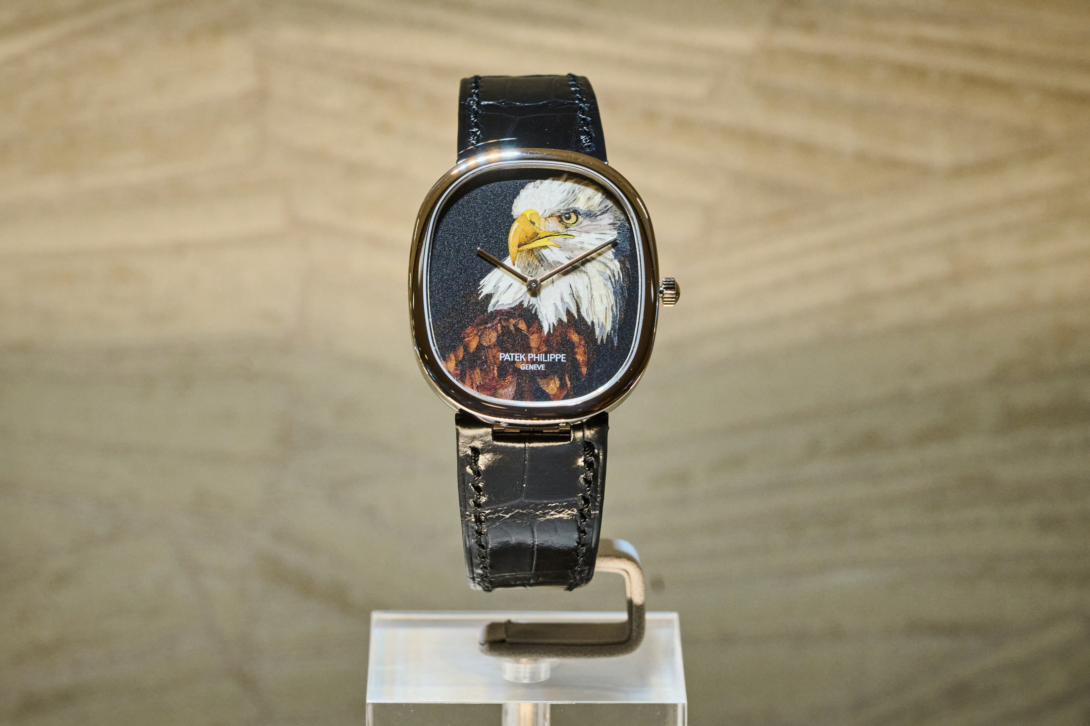 Patek Philippe Rare Handcrafts
