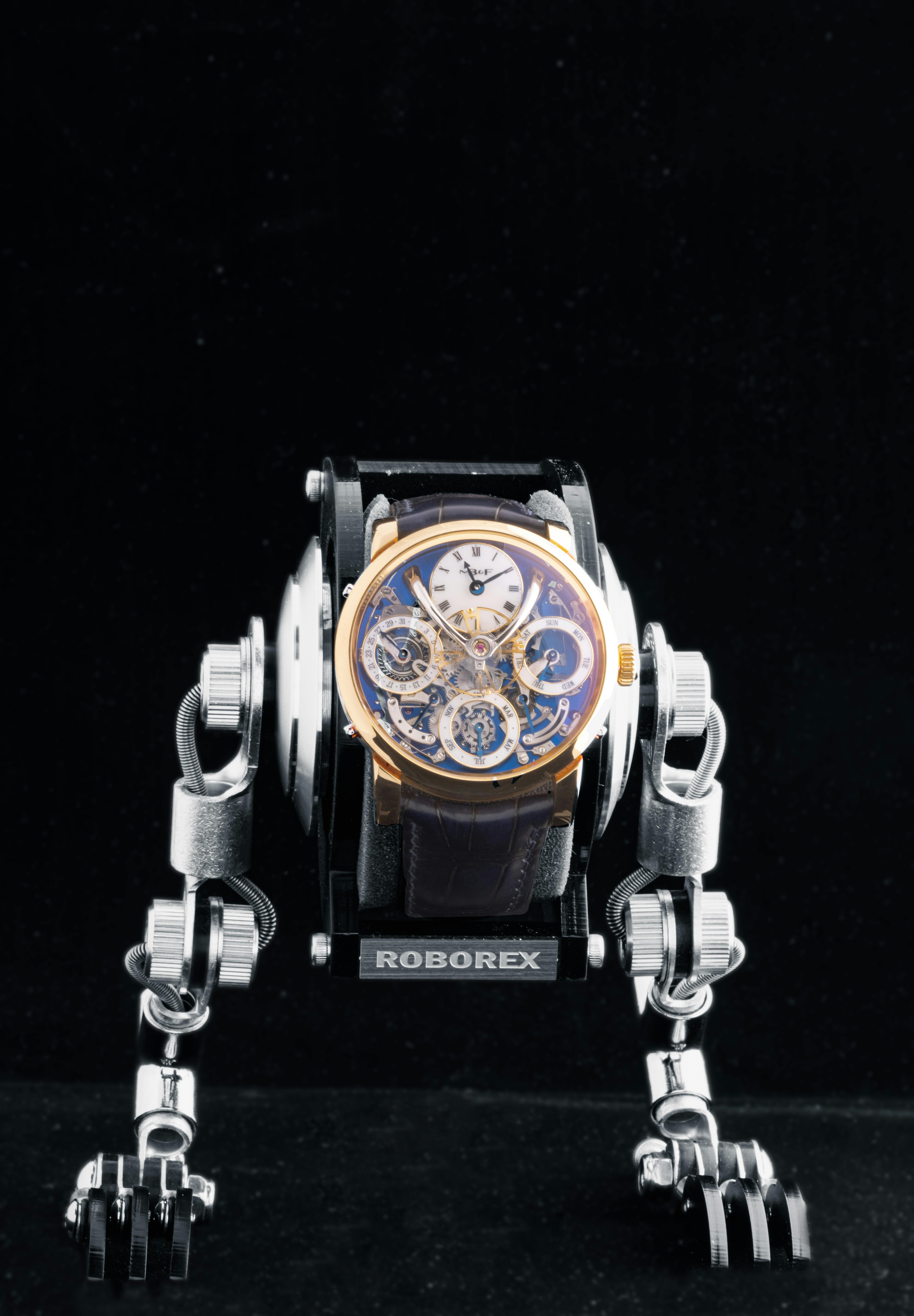 The Watches for Good and MB&F Fundraiser Roborex