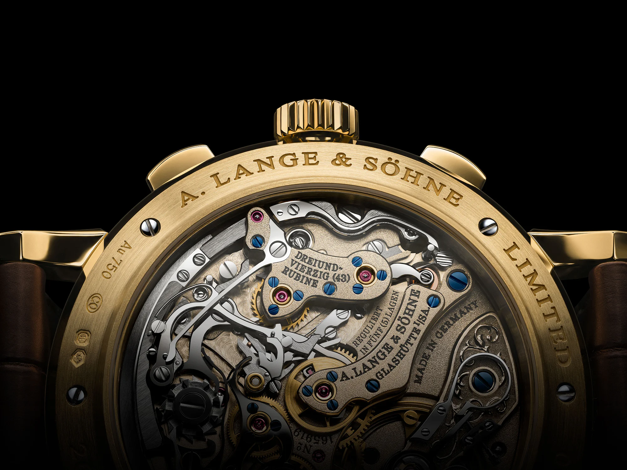 caseback up close side view