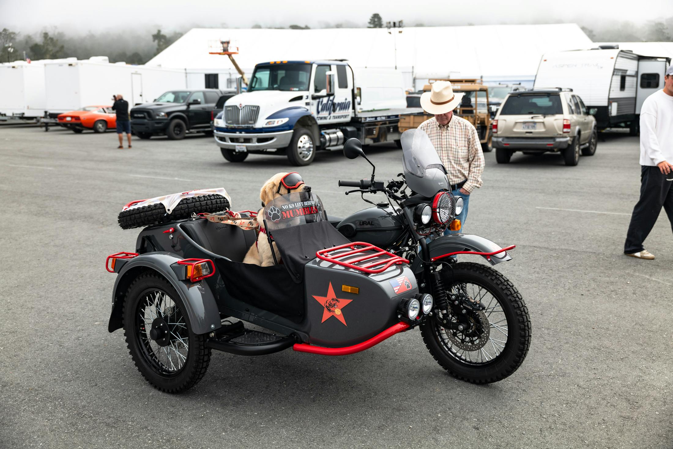 a dog in a motorcycle