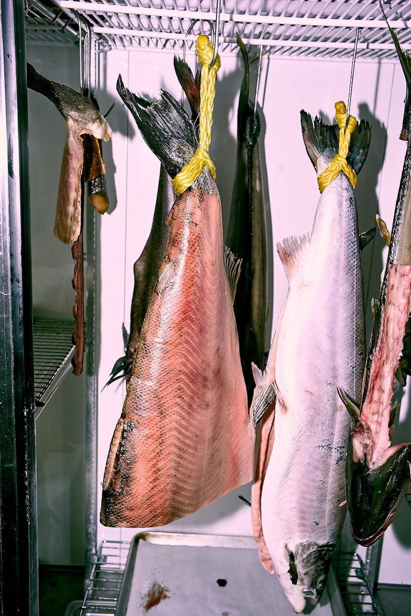 Four One This Fishmonger S Watch Collection Stands Up To Slime And Guts Hodinkee Four One This Fishmonger S Watch Collection Stands Up To Slime And Guts Hodinkee