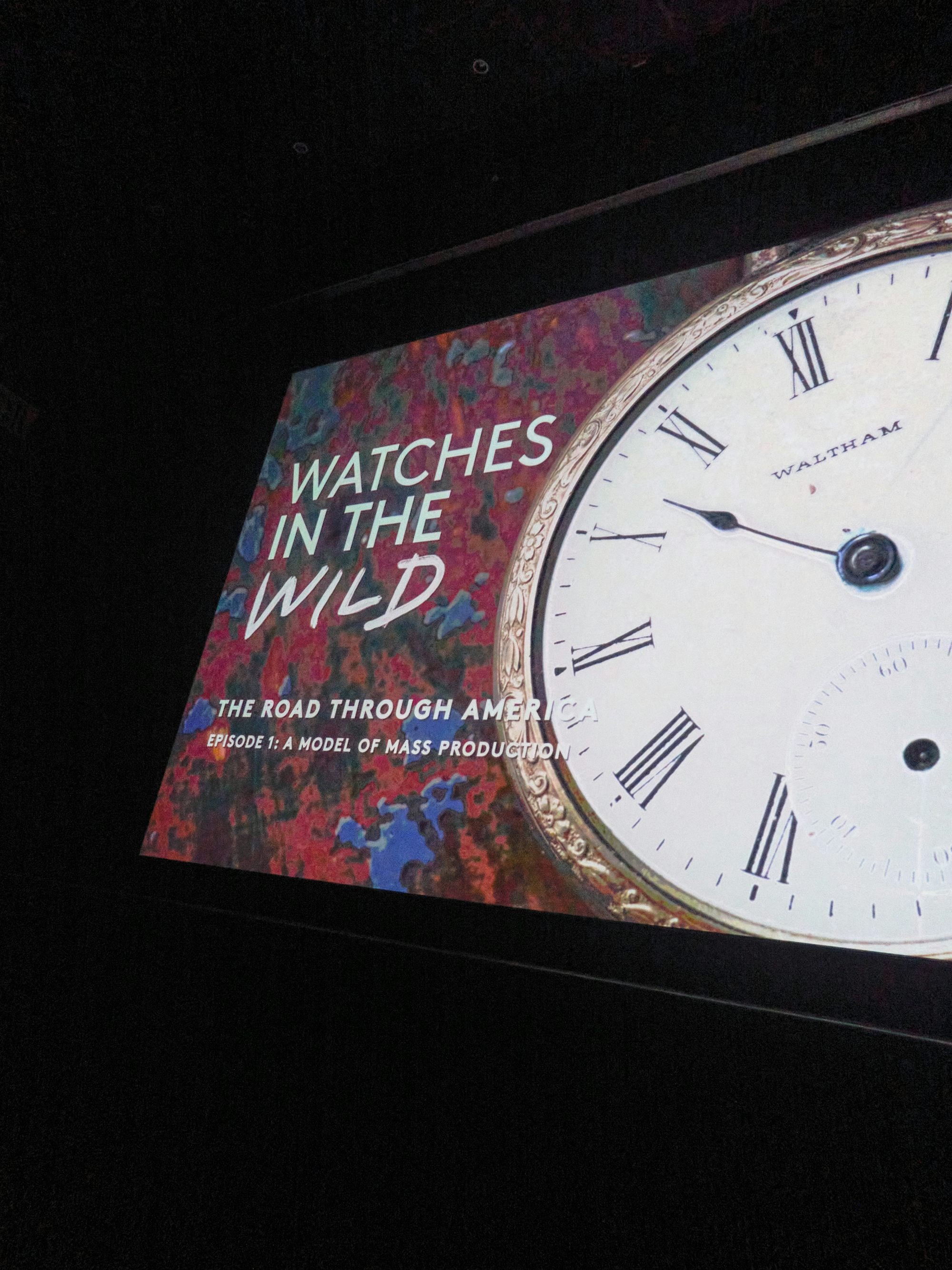 a scene from watches in the wild s3 launch event