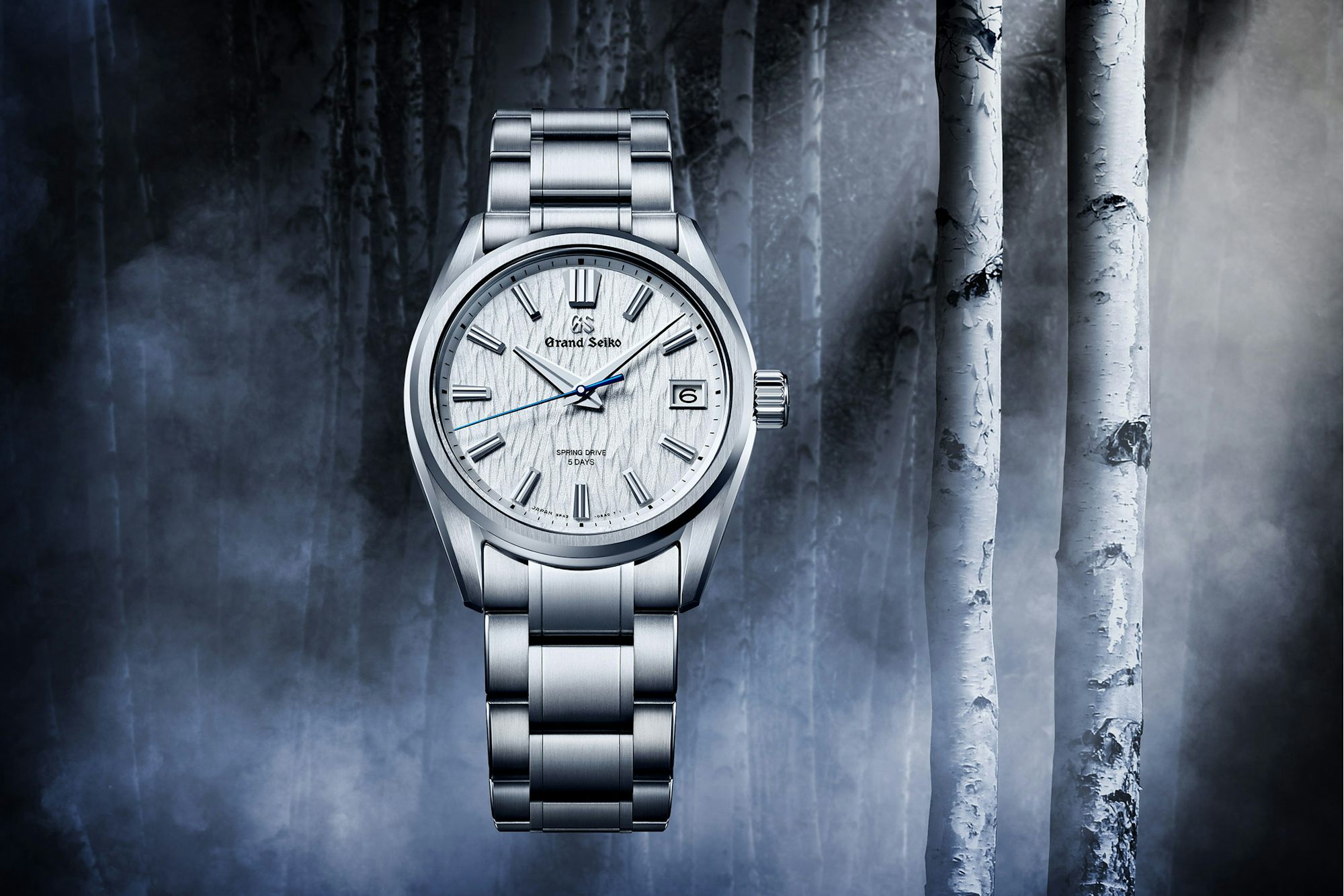 Grand Seiko floating in front of a birch forest at night