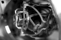 mg 0736.jpg?ixlib=rails 0.3