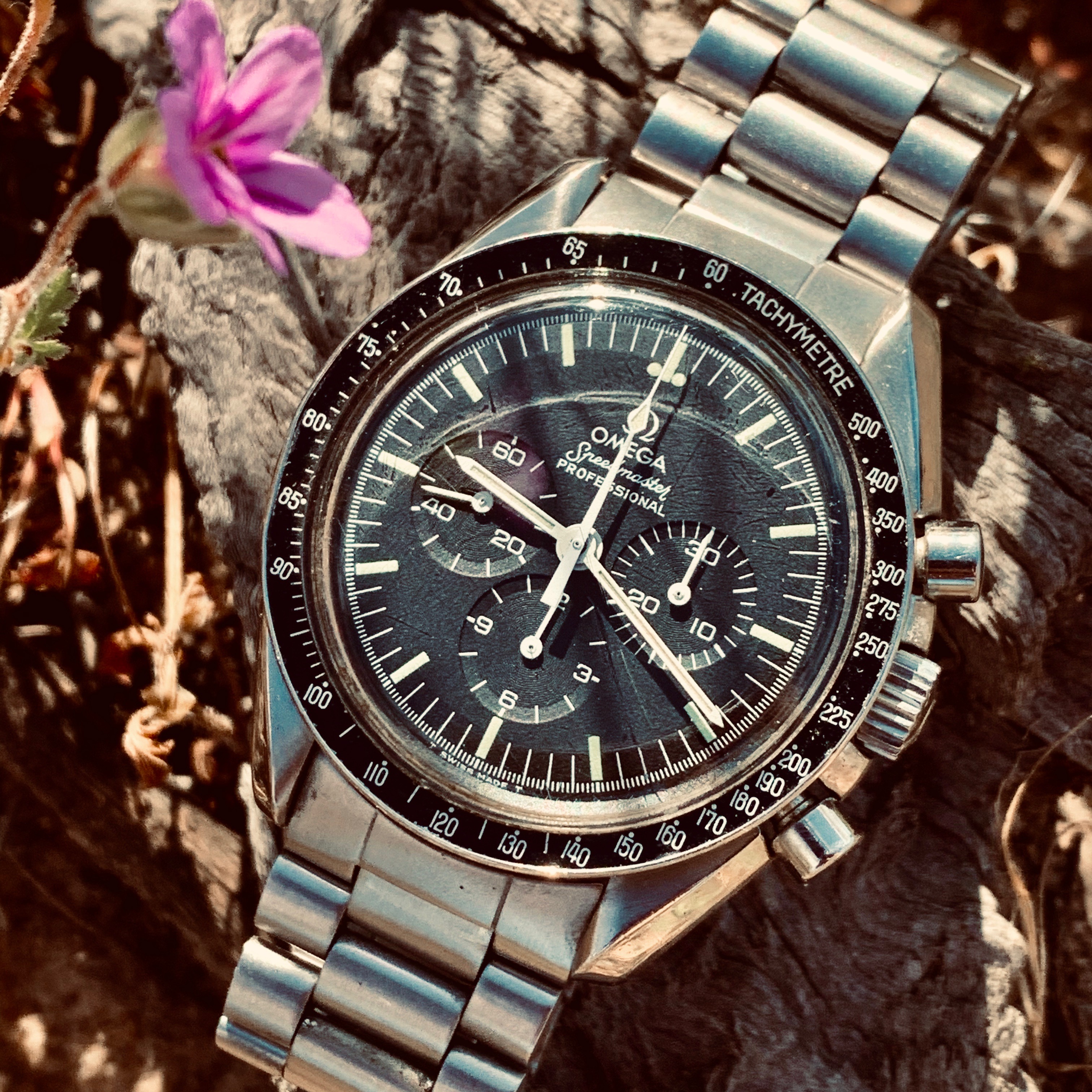 1978 Omega Speedmaster Professional — Hodinkee Community