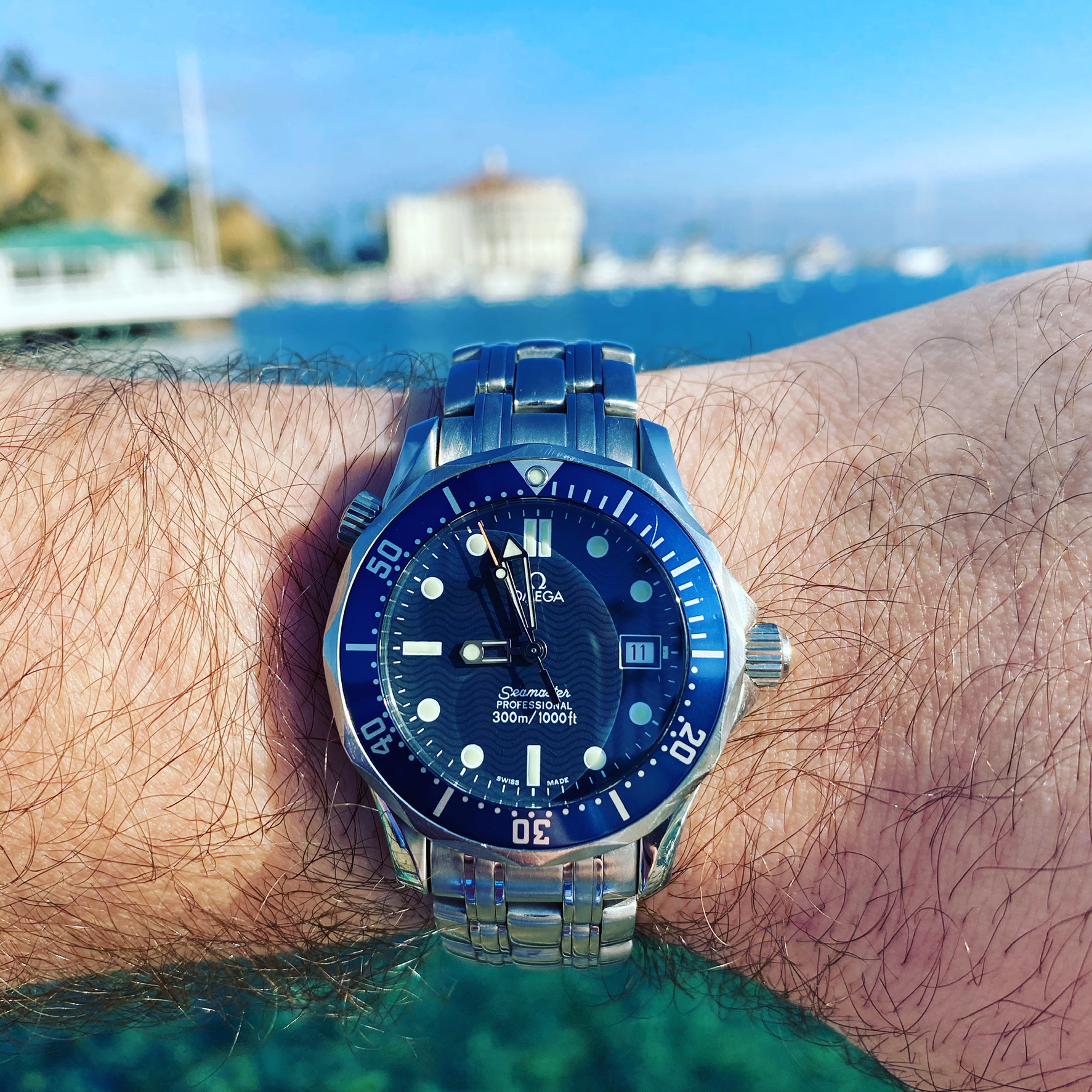 1995 Omega Seamaster Professional 2561.80 — Hodinkee Community