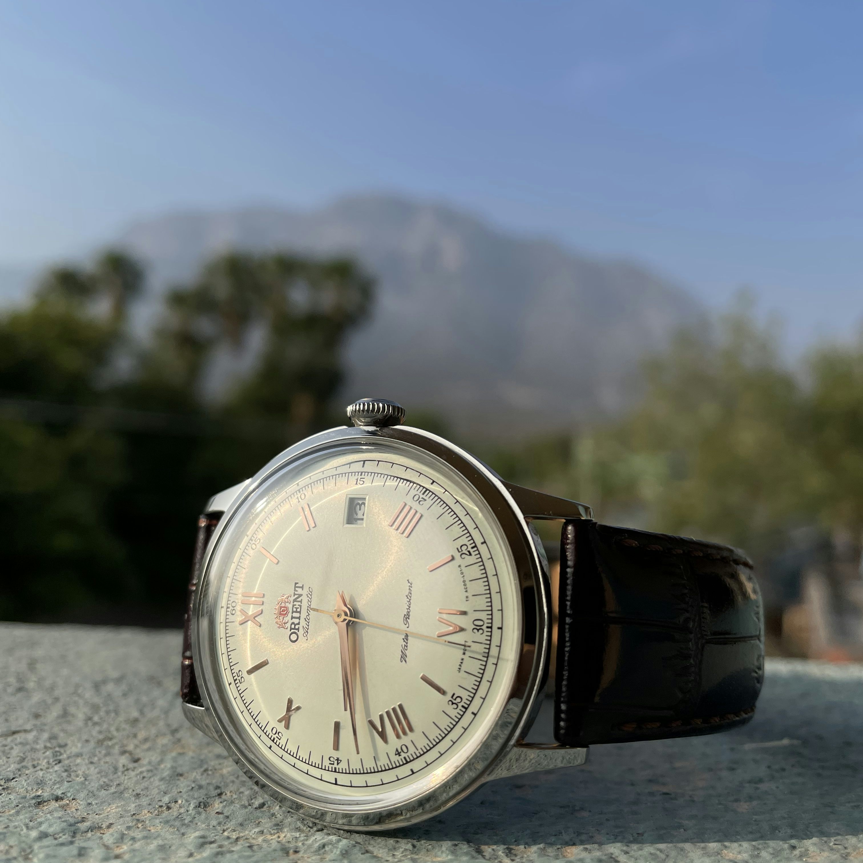 Orient 2025 bambino hodinkee