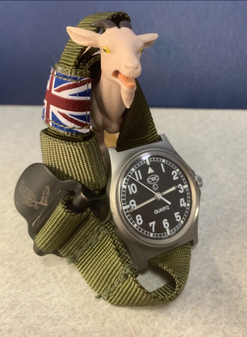 Ex Issue CWC G10 Military Watches Very Clean Condition | Military  Industries | Timepieces