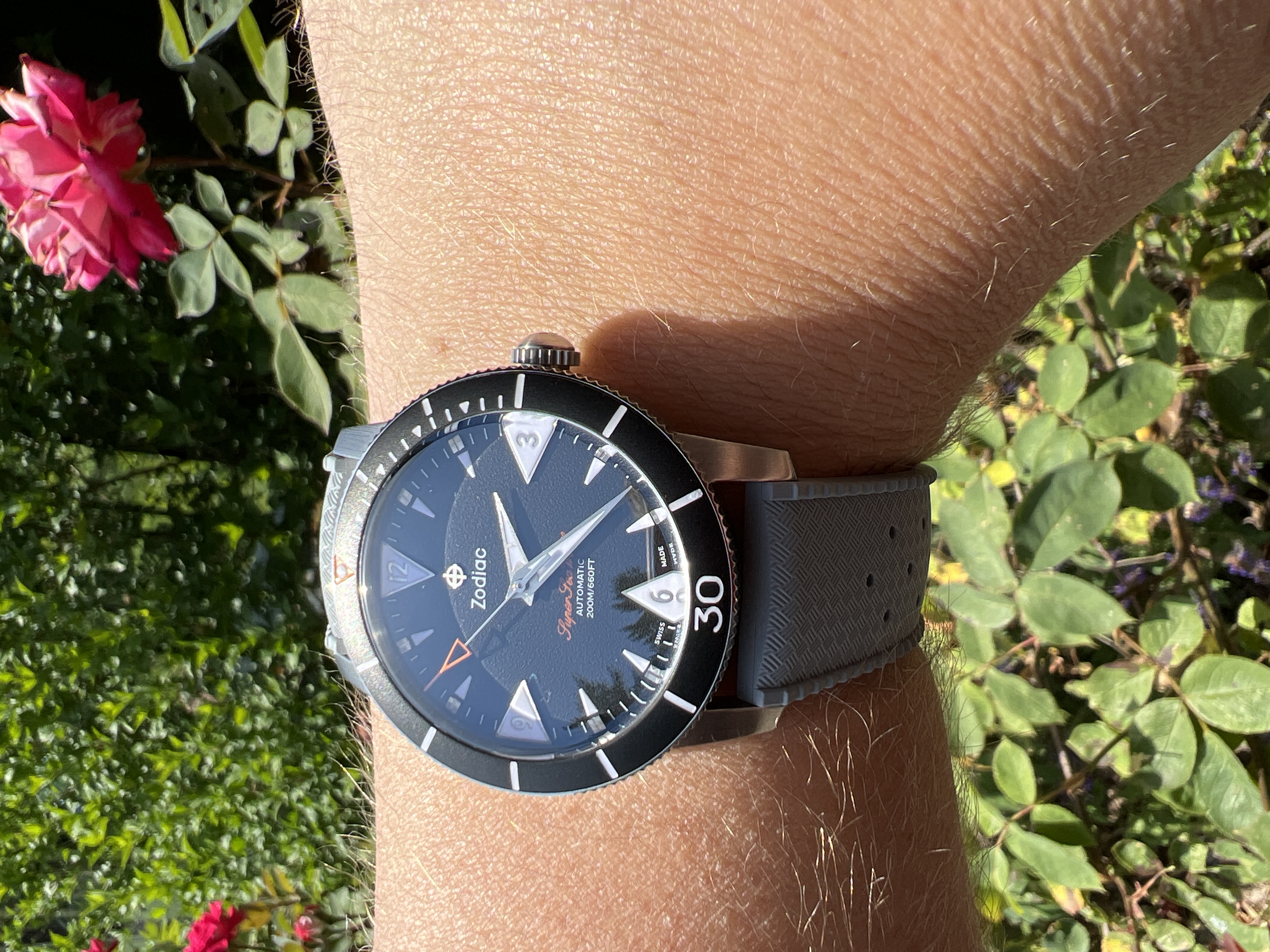 サバルヤシ Zodiac Super Sea Wolf Skin Diver Z09212 — Hodinkee Community