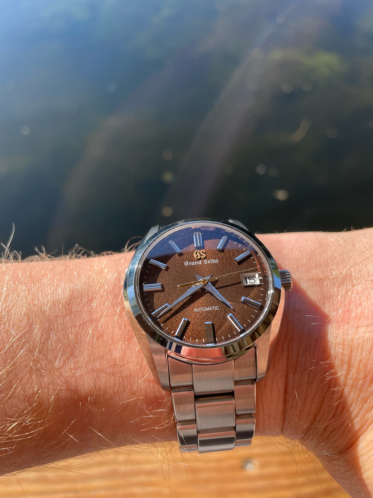 Seiko sbgr311 hot sale